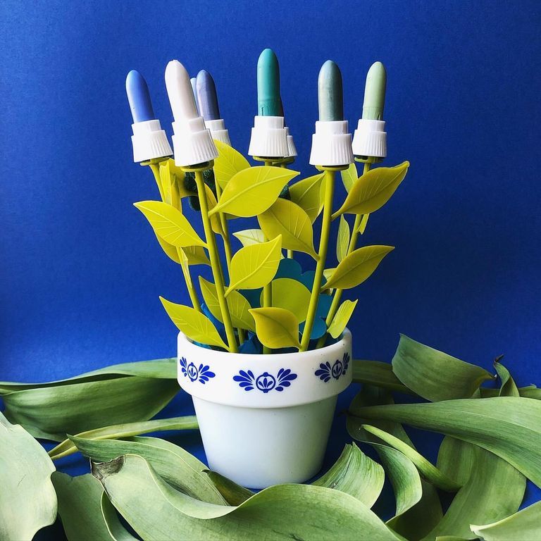 Fancy Plants for Eyes picture number 1