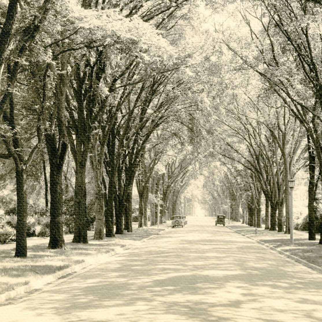 Elmhurst History Museum hero image