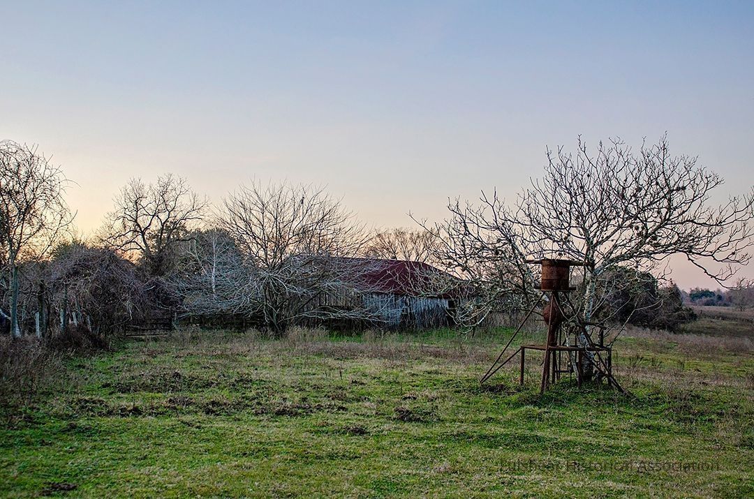 Fulshear, Texas: A Contemporary Photographic Record