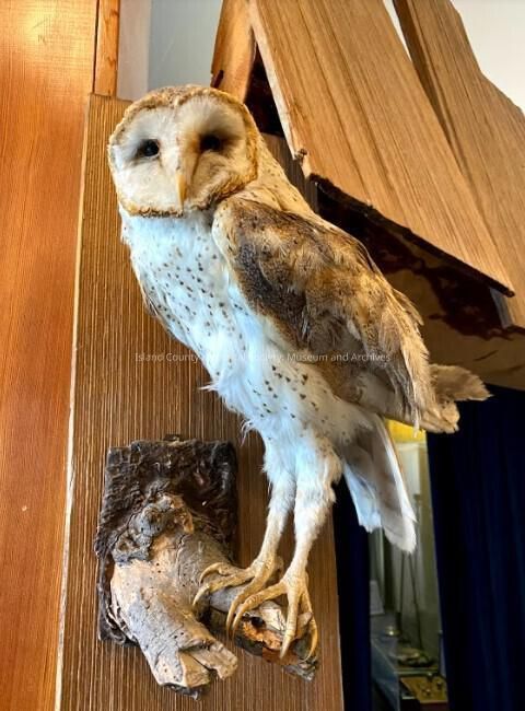 Natural History
