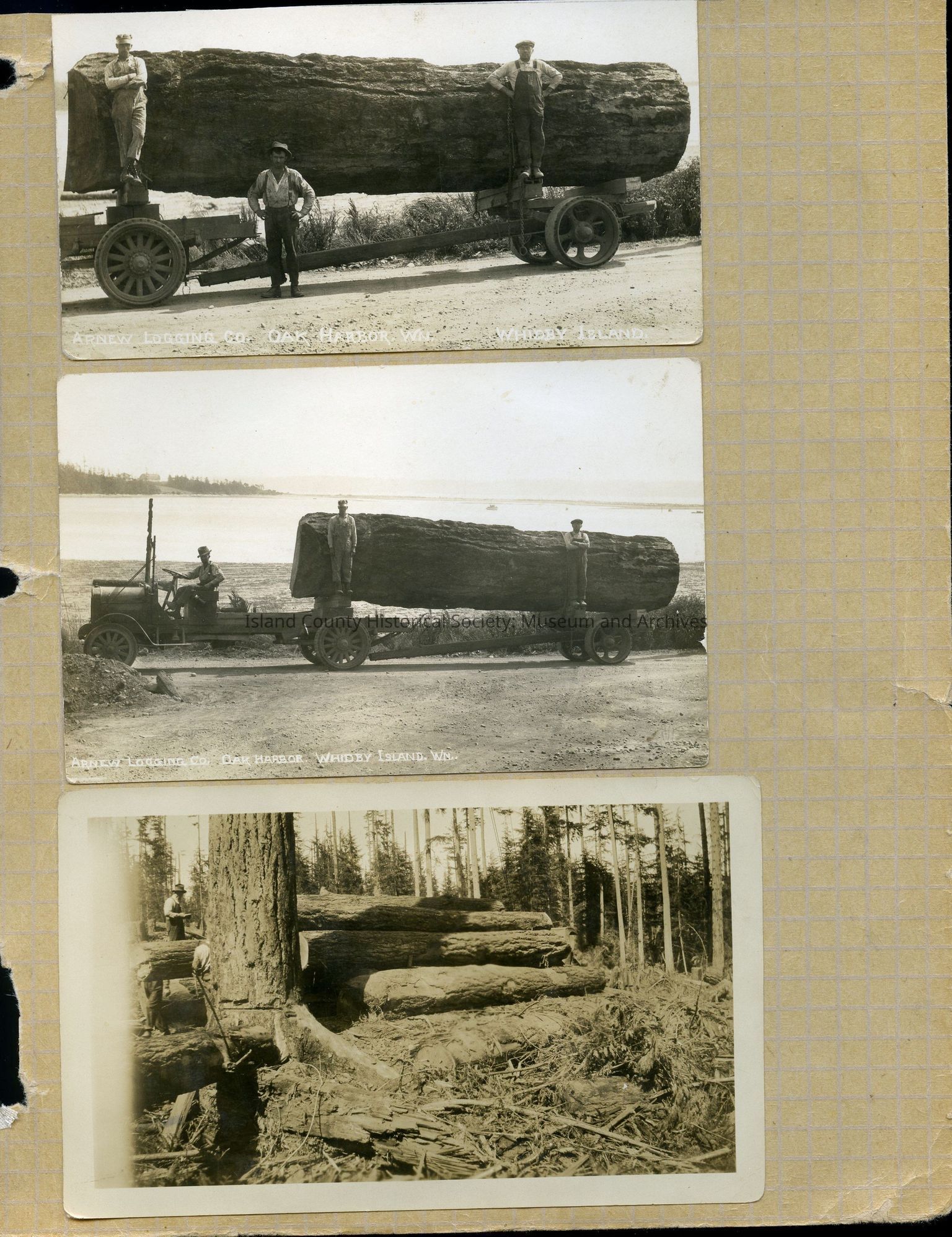 Sawmills and Logging