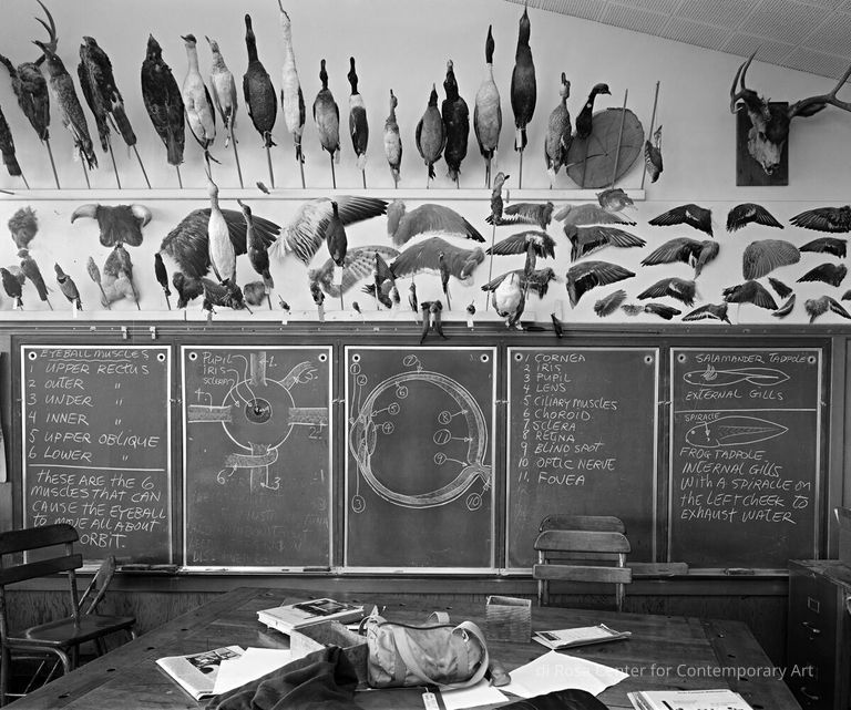 7th and 8th Grade Science Classroom, Moss Landing Elementary School