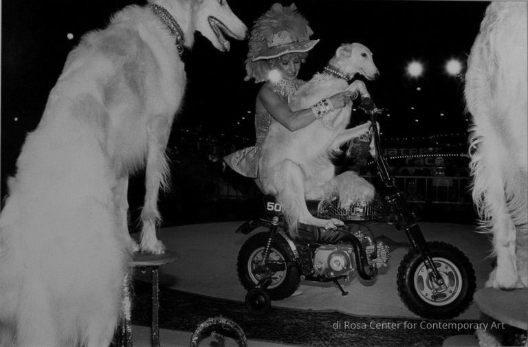 Reno, Nevada (Fancy Dogs and Woman on Scooter)