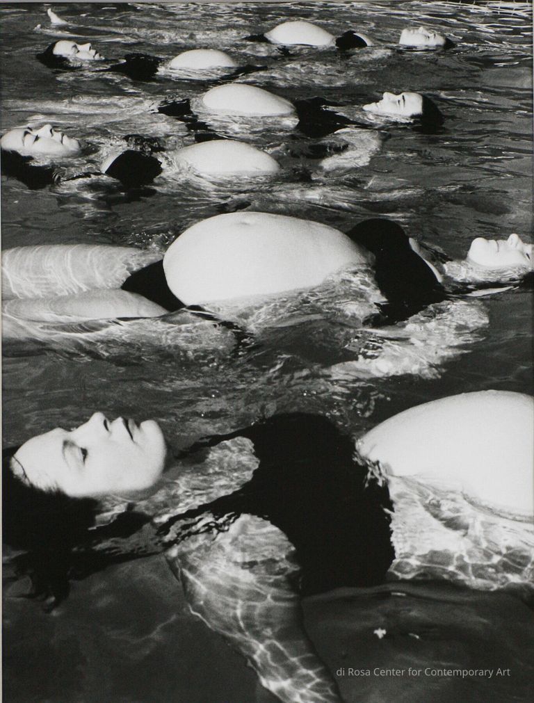 Lily Pads