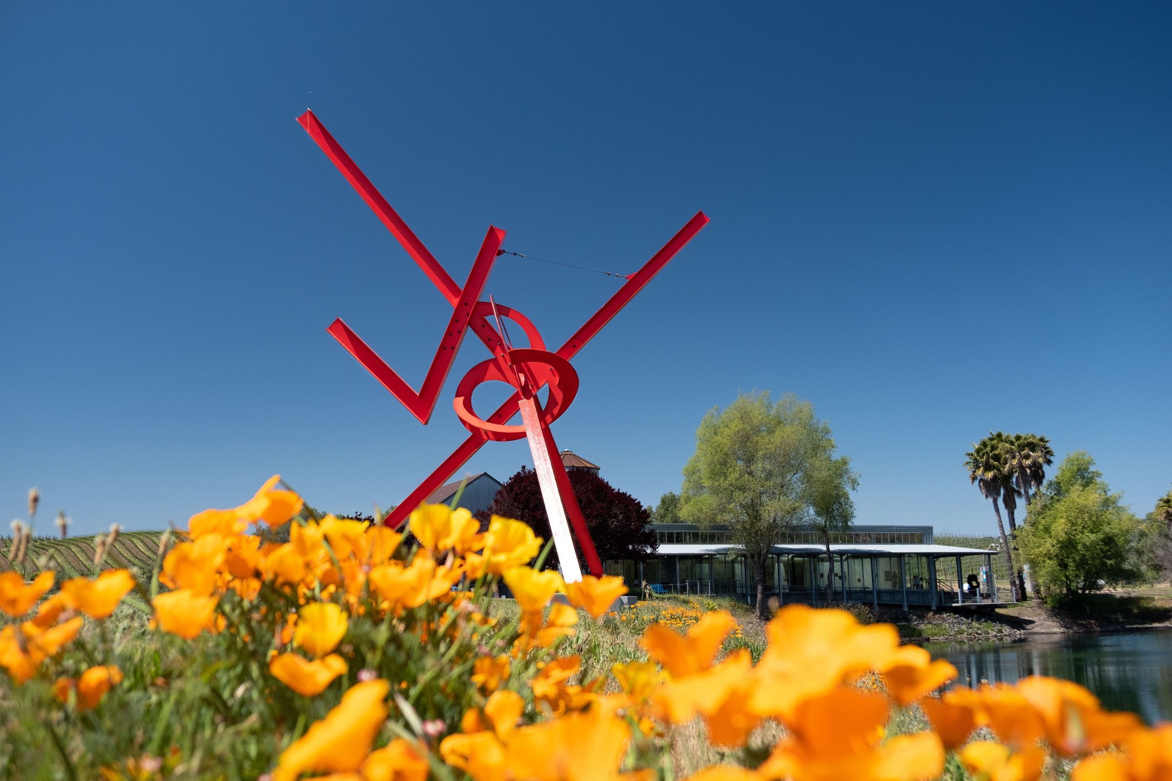 di Rosa Center for Contemporary Art hero image