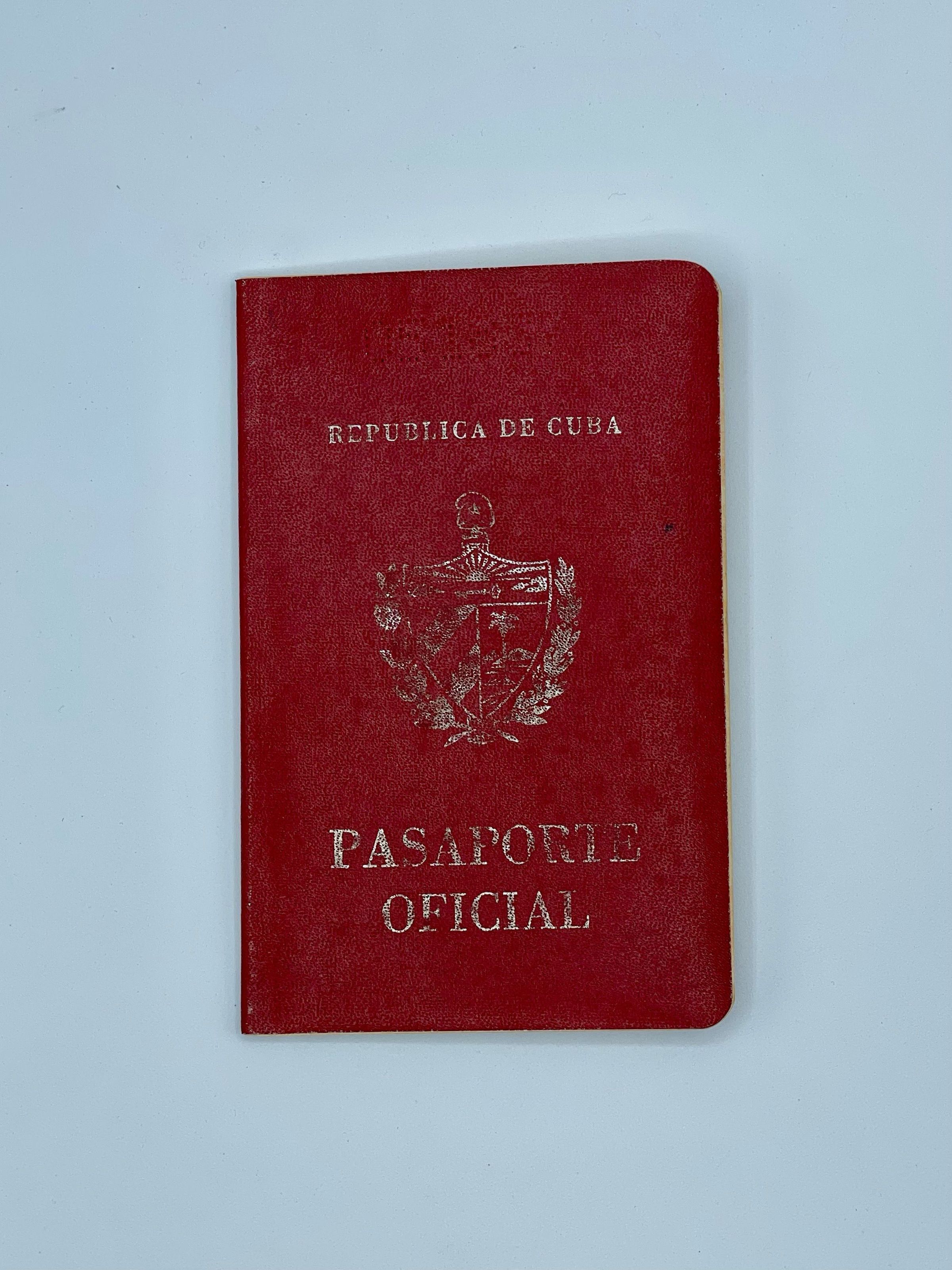          official passport picture number 1
   