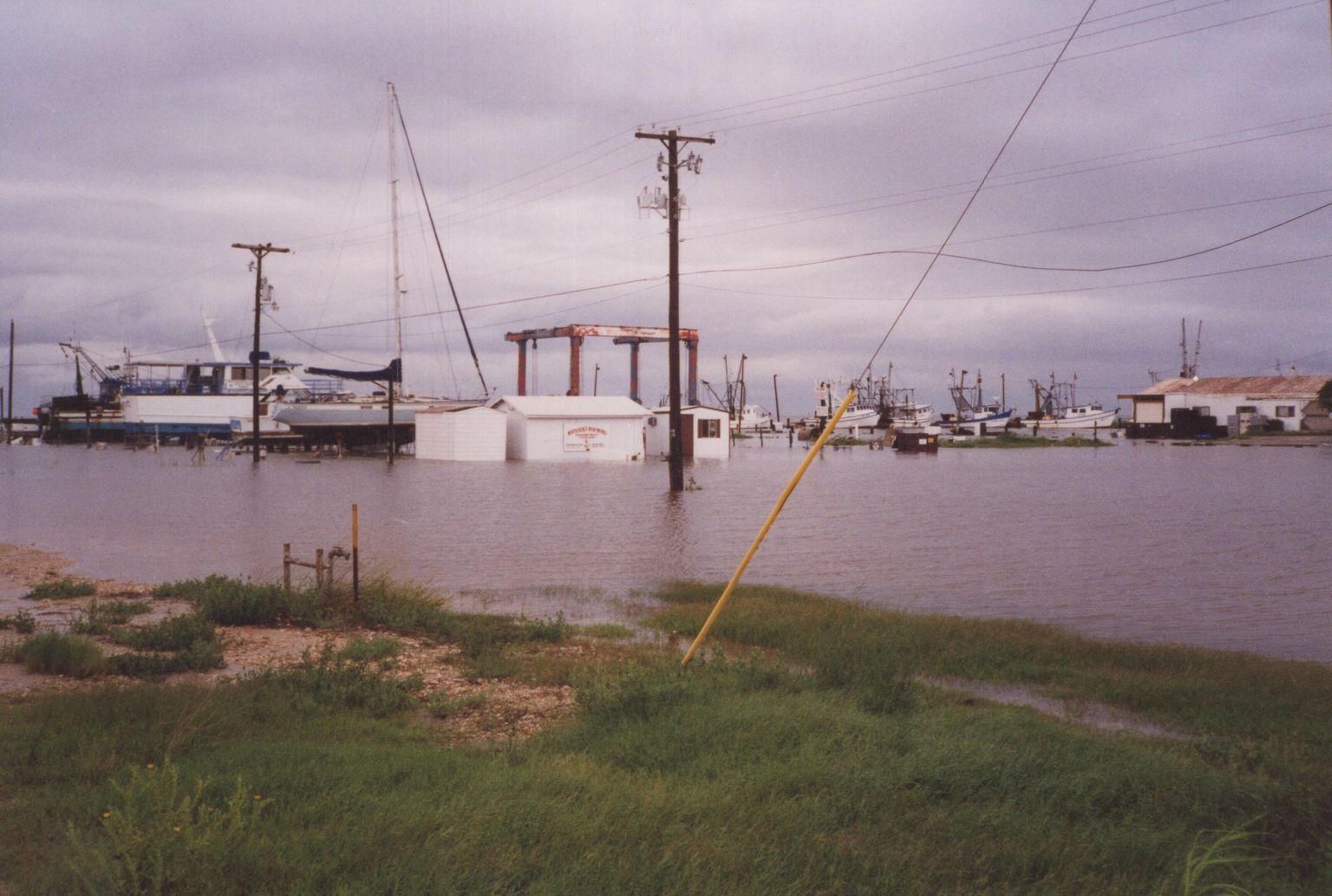 Tropical Storm Frances