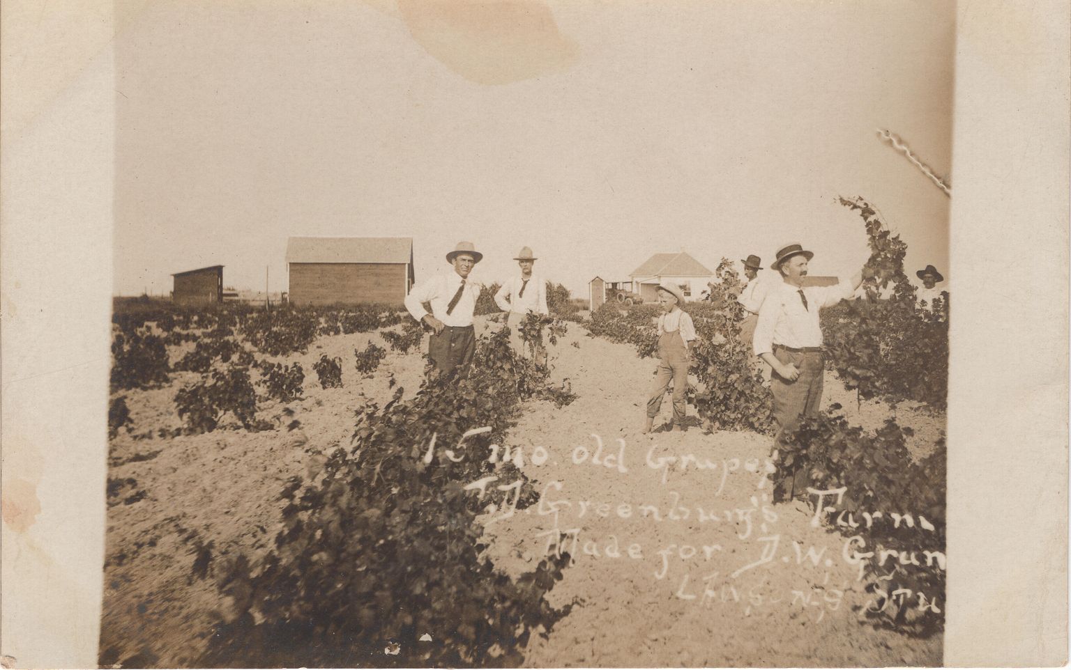 Agriculture and Ranching