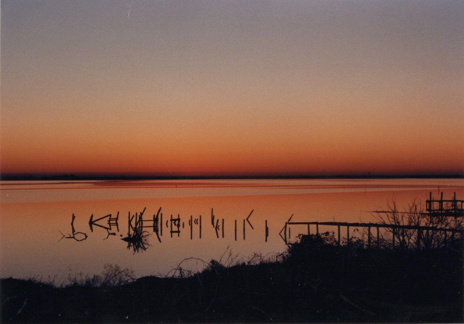 Bay Scenes
