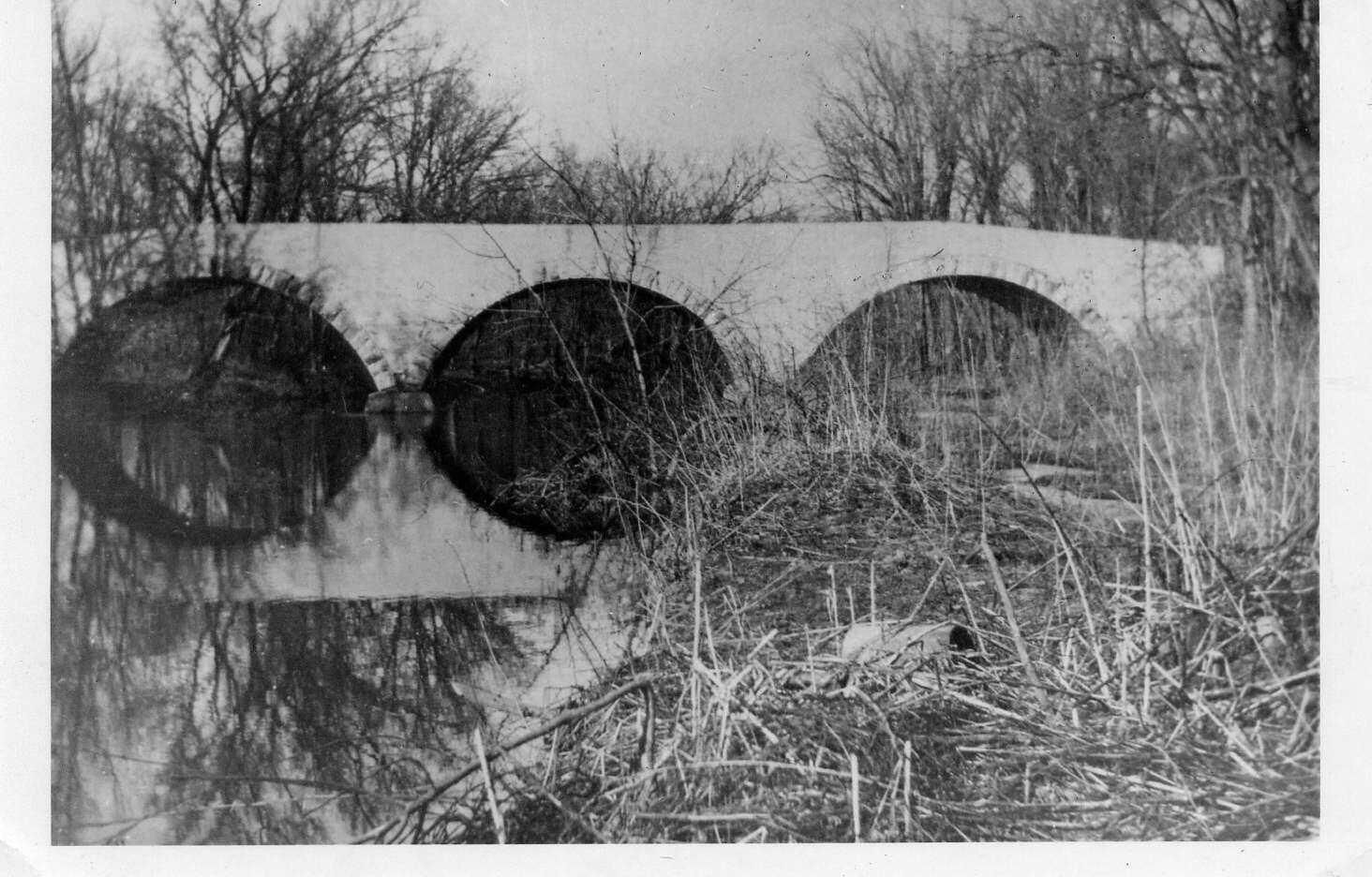 Aux Sable Township, Grundy County