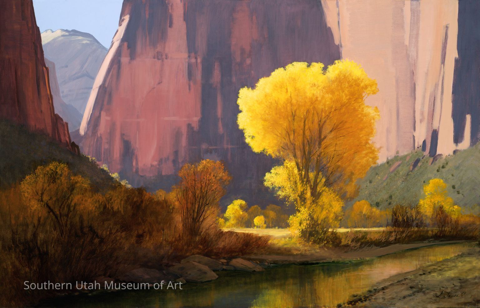 Reaching for the Sky: Trees in the Work of Jimmie Jones & Other Artists, Near & Far