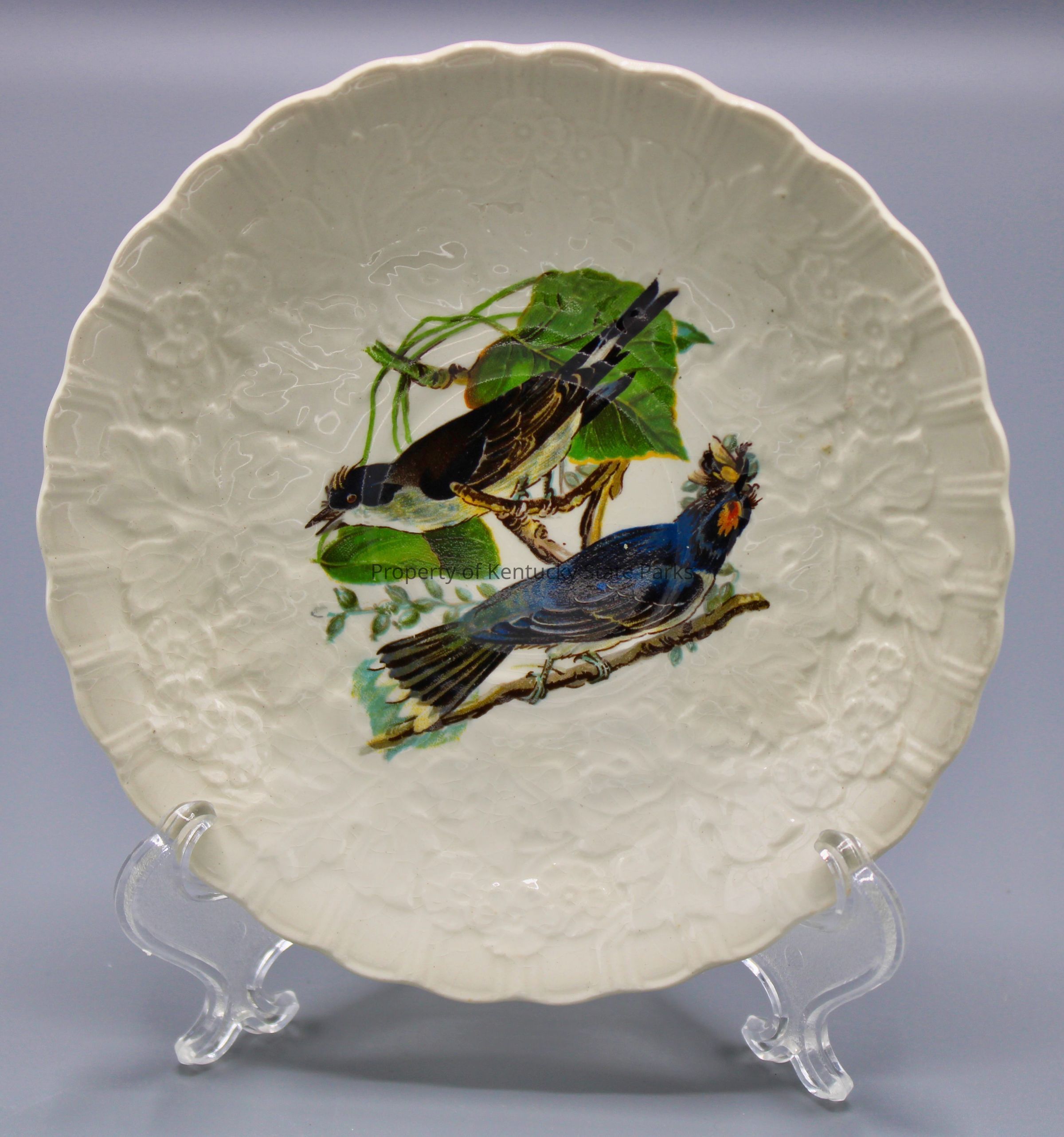 Saucer with reproduction of John James Audubon's "Kingbird," also known as the "Tyrant Fly-catcher": A white china plate with a raised pattern of flowers, scalloped edges, and a color image of two birds perched on a branch of green vines and green leaves. One bird faces to the viewer's left while the second looks up to the other bird. Their feathers are colored blue, brown, yellow, and white. Photograph date: March 30, 2023 / Photographer: Heidi Taylor-Caudill