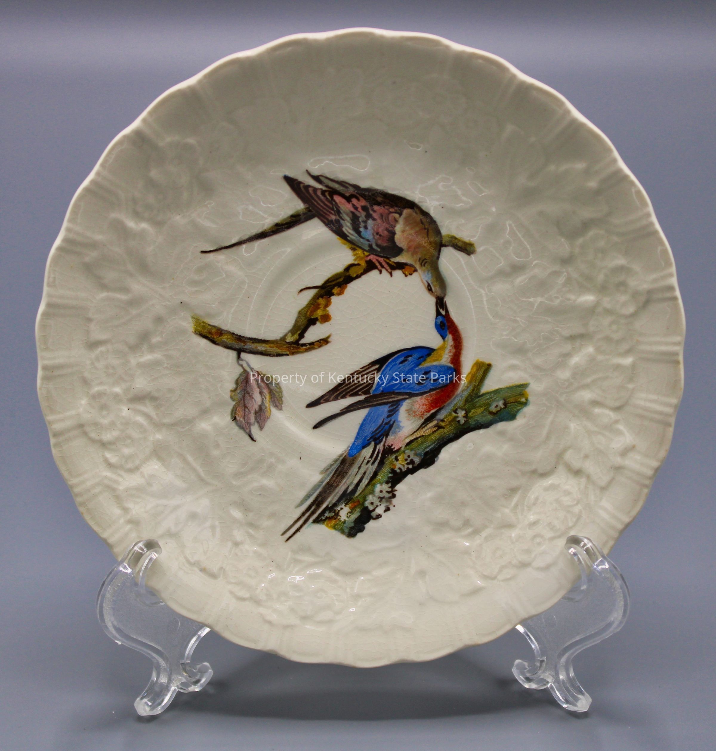 Saucer with reproduction of John James Audubon's "Passenger Pigeon": A white china plate with a raised pattern of flowers, scalloped edges, and a color image of two birds perched on branches with dried leaves. One bird leans down from the upper branch to feed the other bird. Their feathers are colored blue, pink, brown, white, yellow, and black. Photograph date: March 30, 2023 / Photographer: Heidi Taylor-Caudill