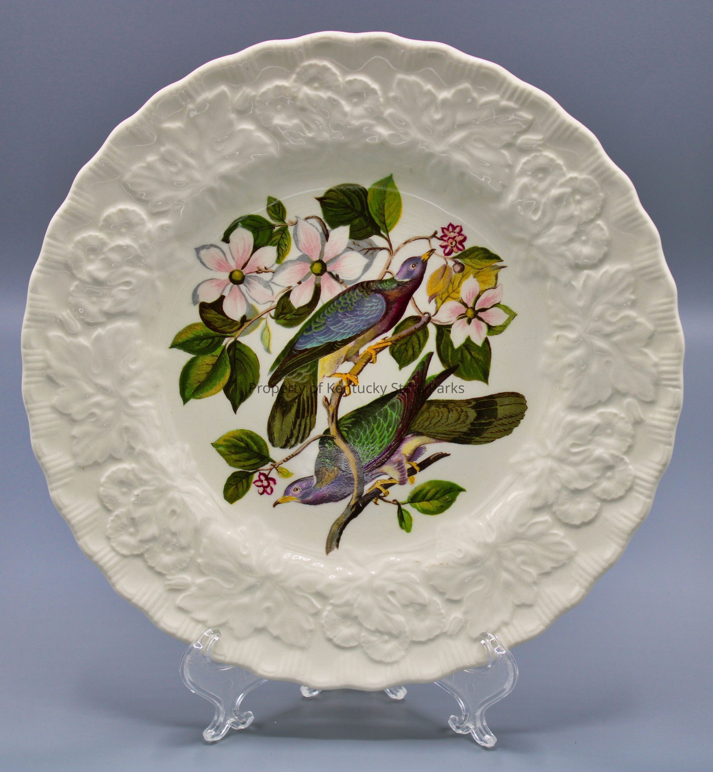 Luncheon plate with reproduction of John James Audubon's "Band-tailed Pigeon": A white china plate with a raised pattern of flowers and leaves, scalloped edges, and a color image of two birds perched on a branch of pink flowers and green leaves. The birds face in opposite directions. Their feathers appear iridescent with various shades of green, red, purple, black, and yellow. Photograph date: March 30, 2023 / Photographer: Heidi Taylor-Caudill