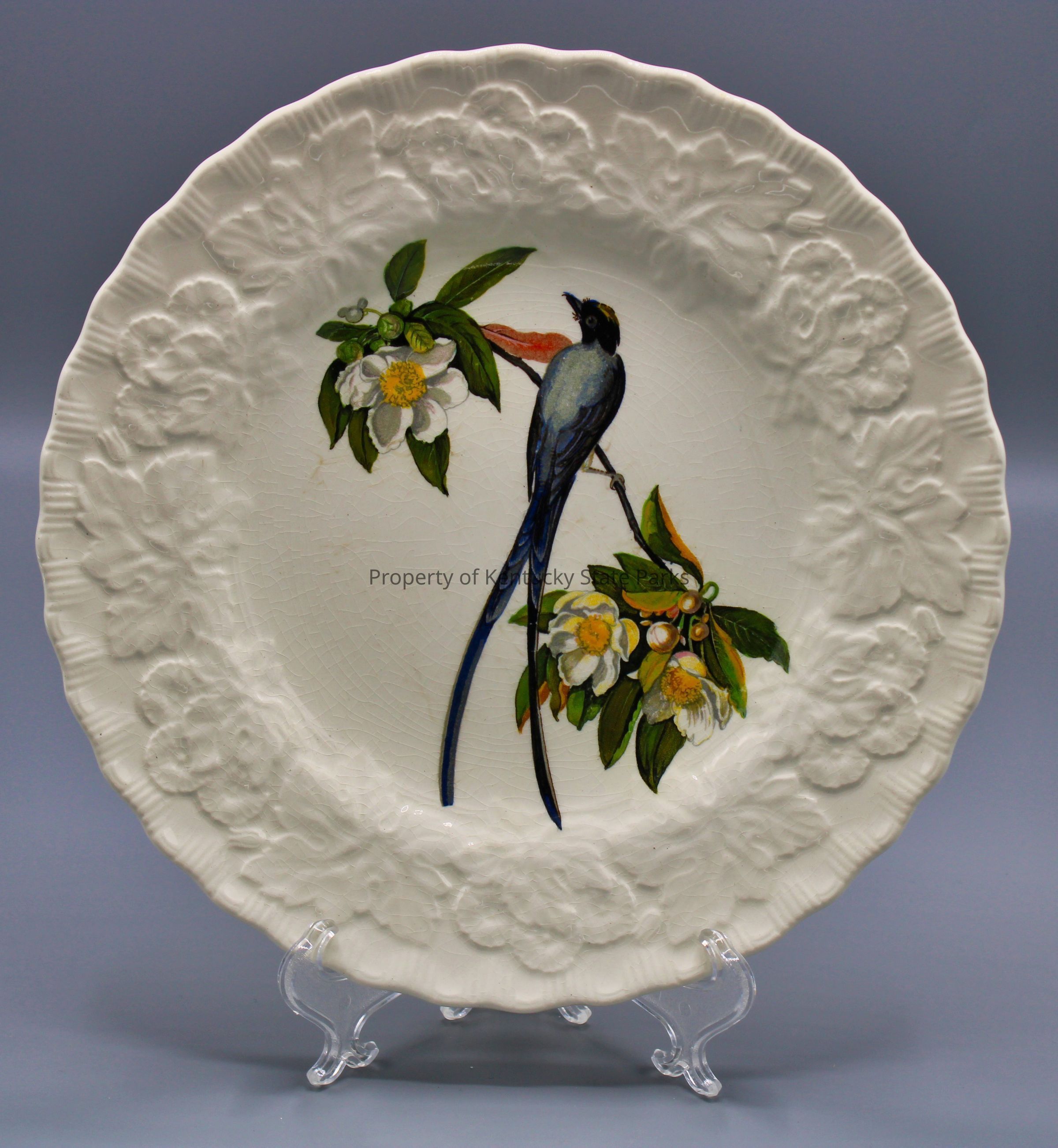 Luncheon plate with reproduction of John James Audubon's "Fork-tailed Flycatcher": A white china plate with a raised pattern of flowers, scalloped edges, and a color image of a bird perched on a branch of yellow and white flowers and green and brown leaves. The bird faces to the viewer's left. Its feathers are colored black, dark blue, and gray. Photograph date: March 30, 2023 / Photographer: Heidi Taylor-Caudill
