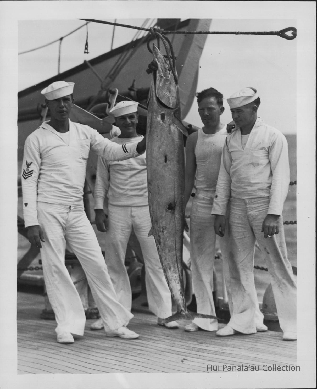 Crew aboard the Itasca with their catch - a 98 lb. Ono picture number 1