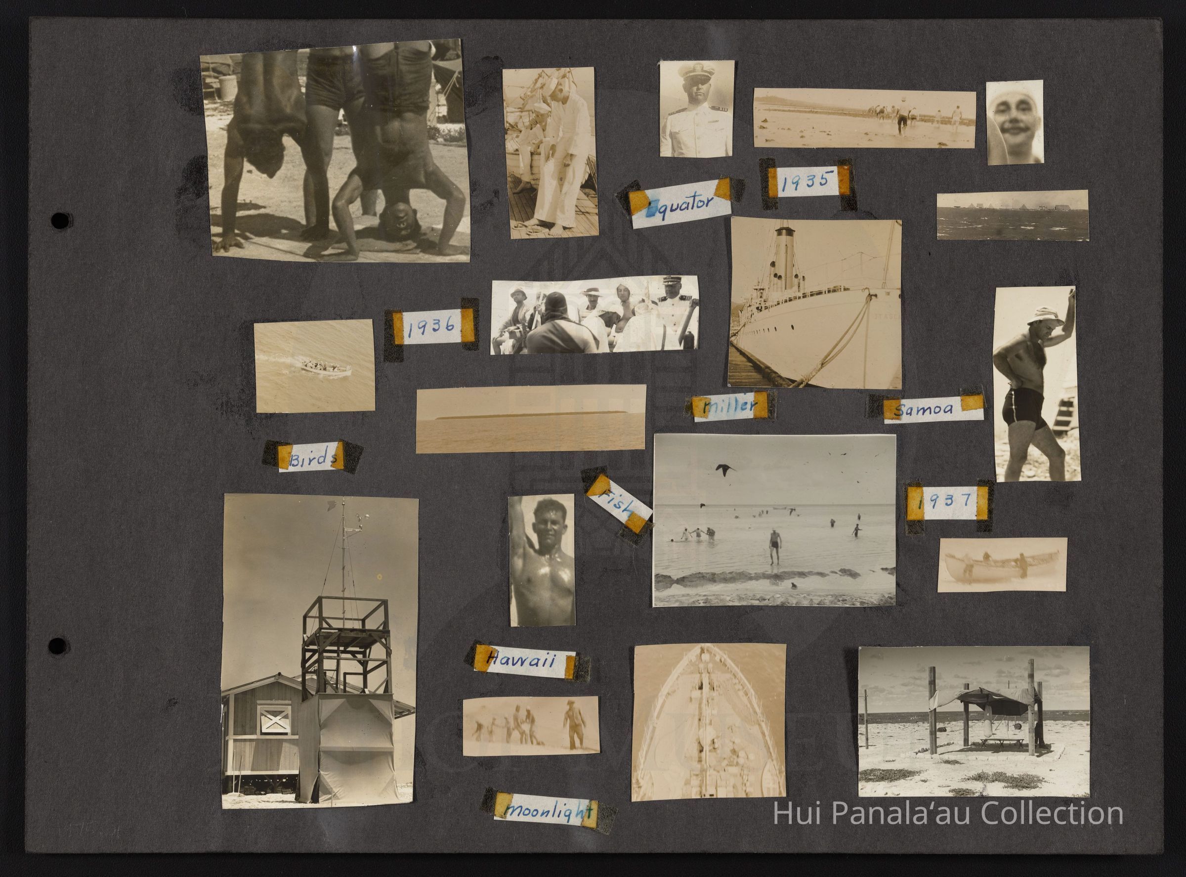 Collage of images from project 169 picture number 1