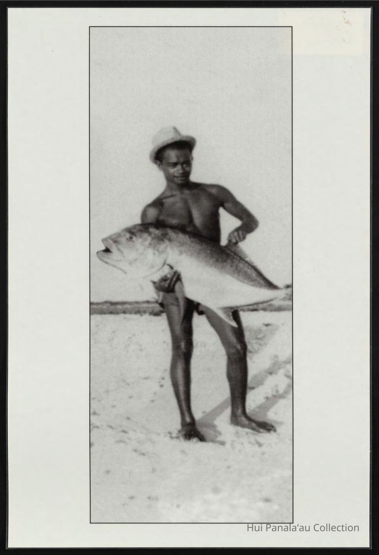 Hui Panalaau Exhibit Module 4 Howland Island picture number 1