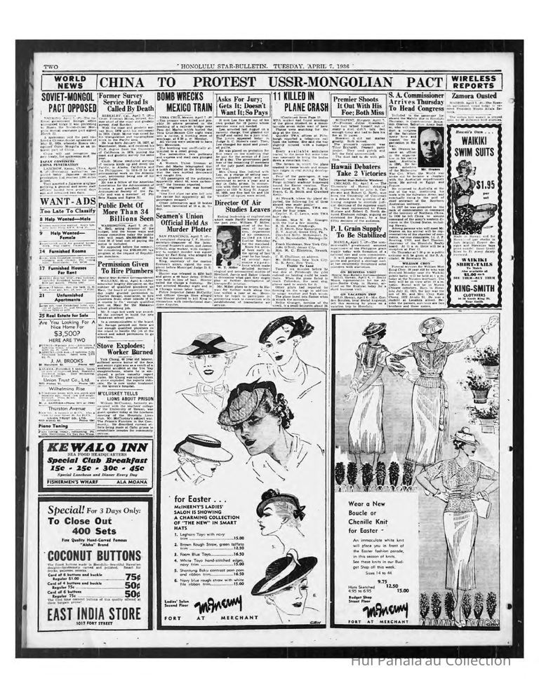 Director Of Air Studies Leaves picture number 1