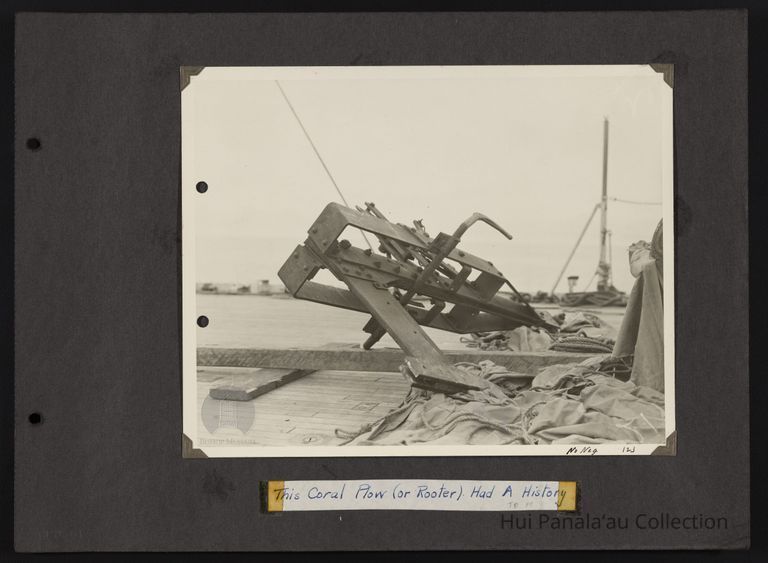 This Coral Plow (or Rooter) Had a History