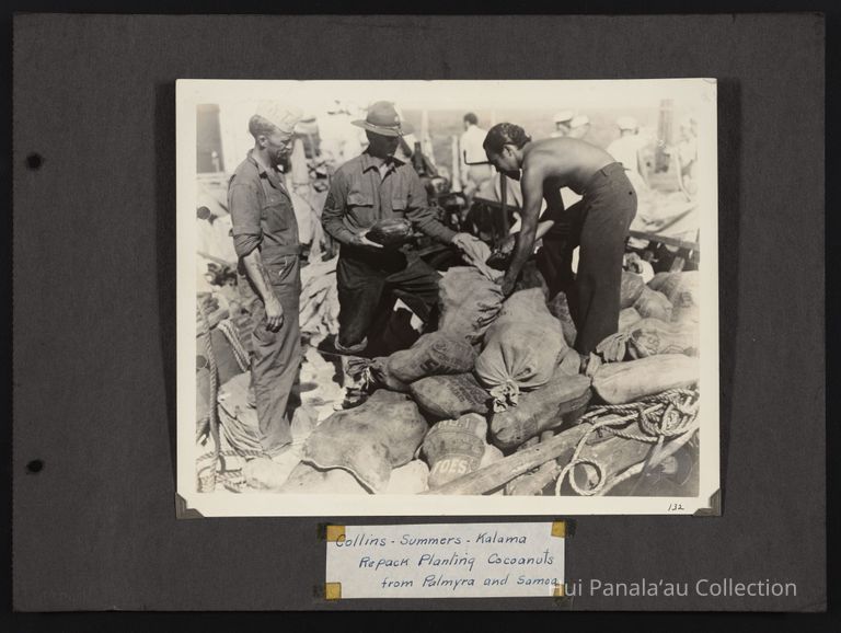 Collins - Summers - Kalama Repack Planting Cocoanuts from Palmyra and Samoa