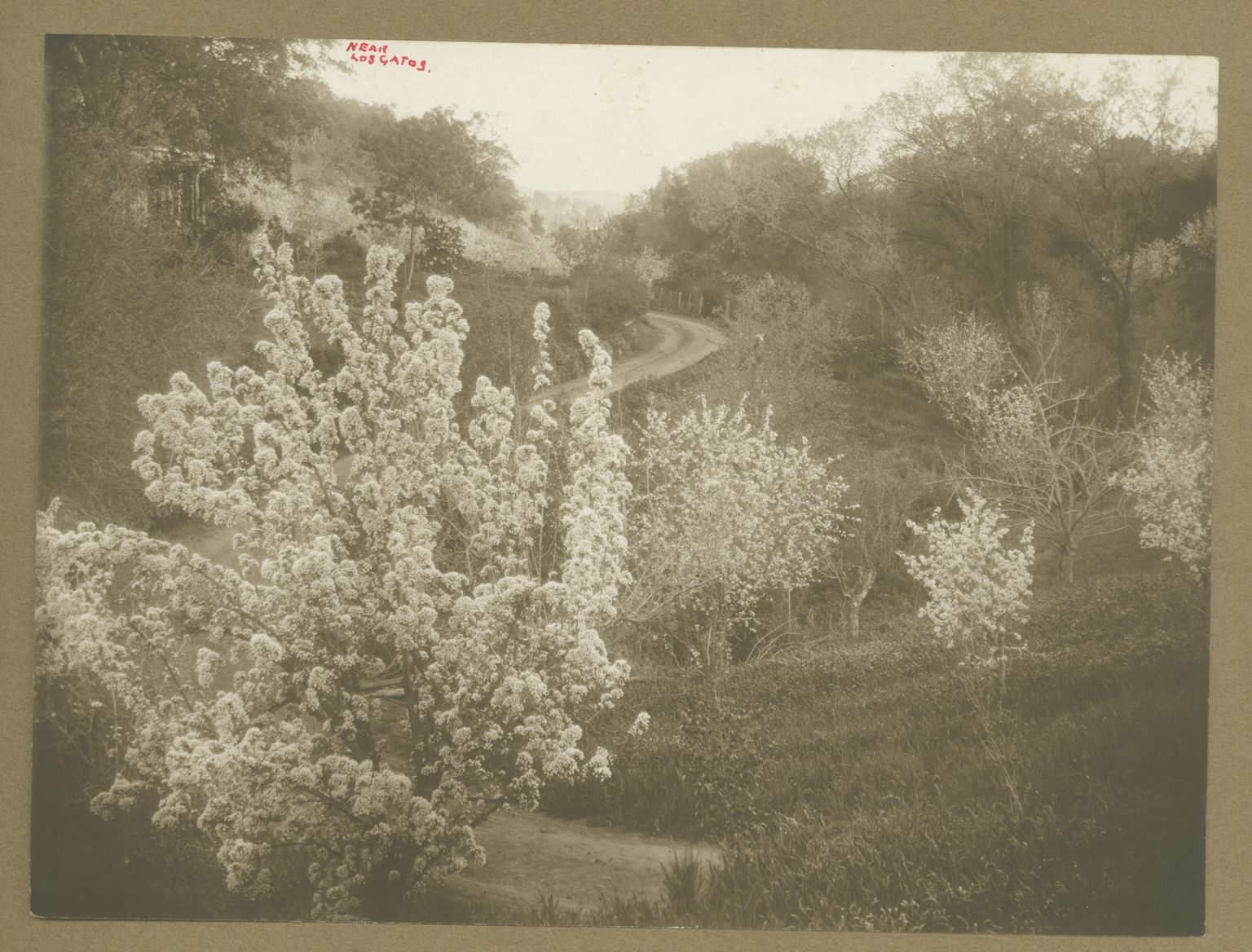 Wagner Photo Album