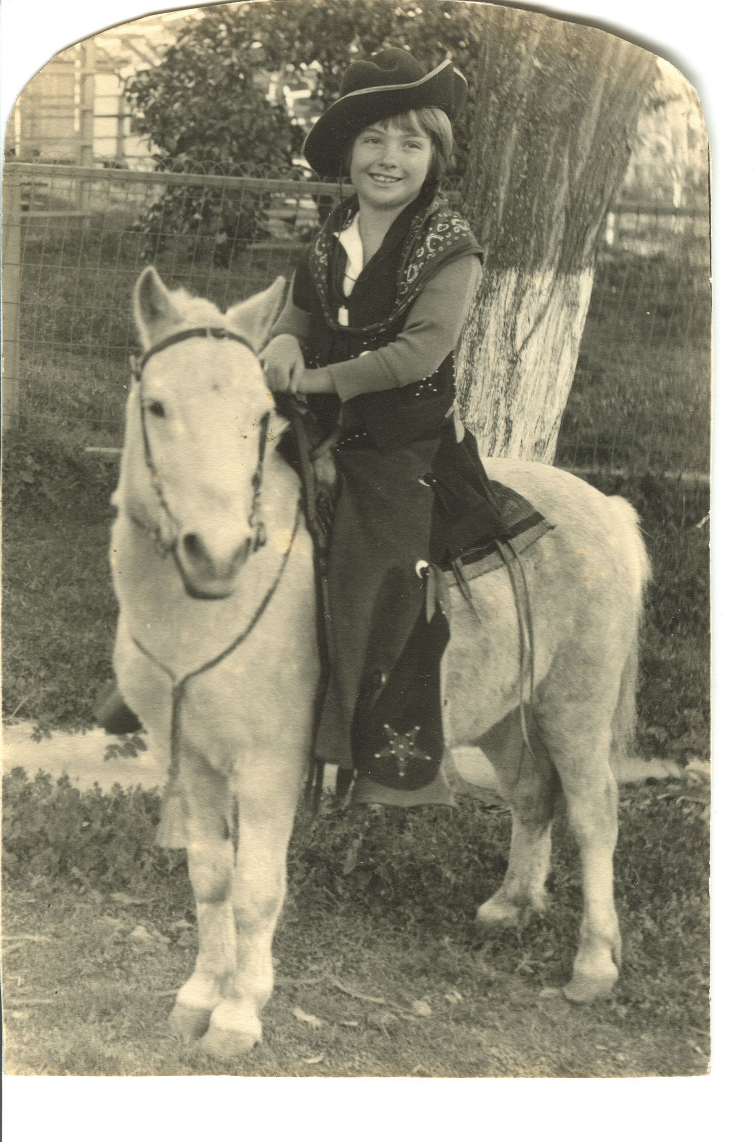 Arnott (Gay Hayward) Collection