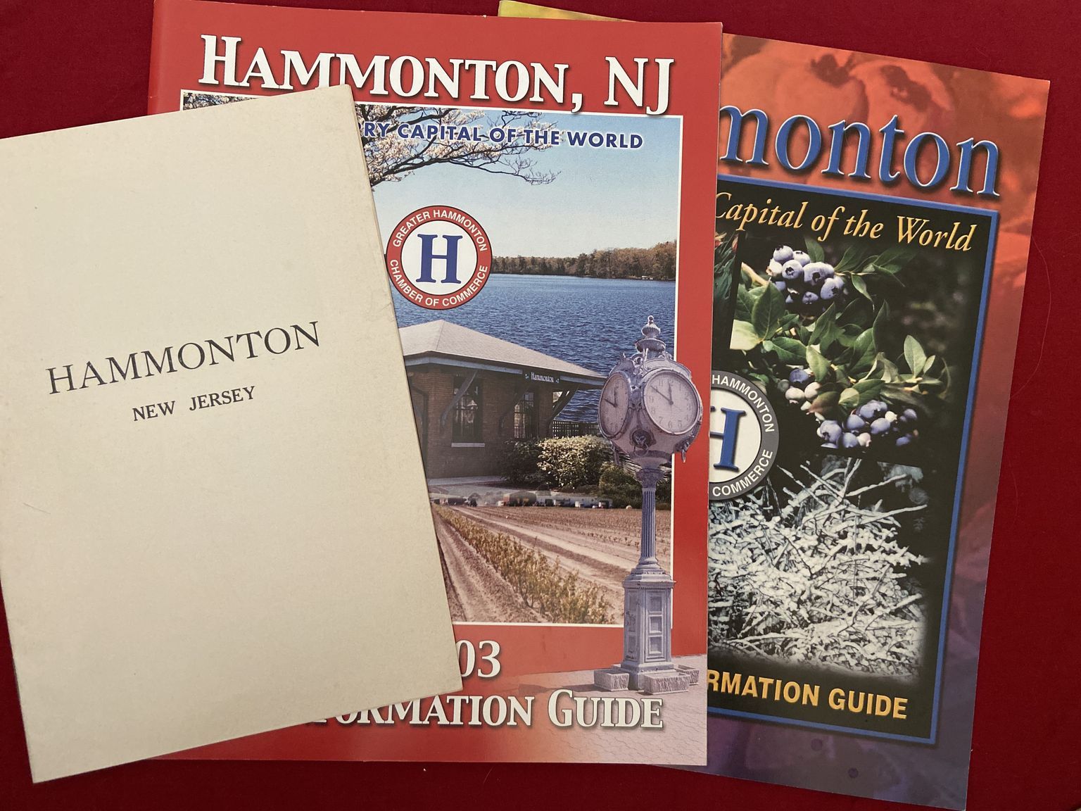 Information Guides- Town of Hammonton