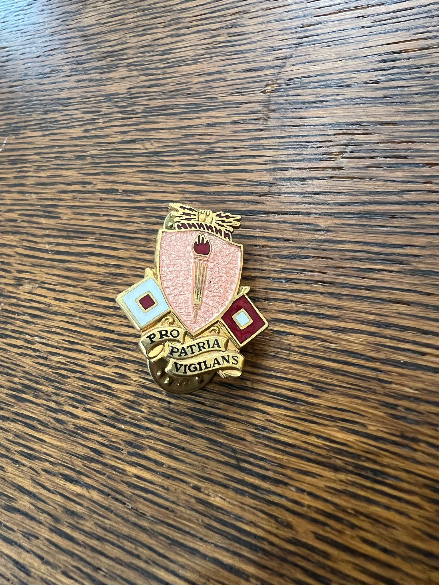 Signal Core Pin Signal Core pin with torch and flags with ‘Pro Patria Vigilans’