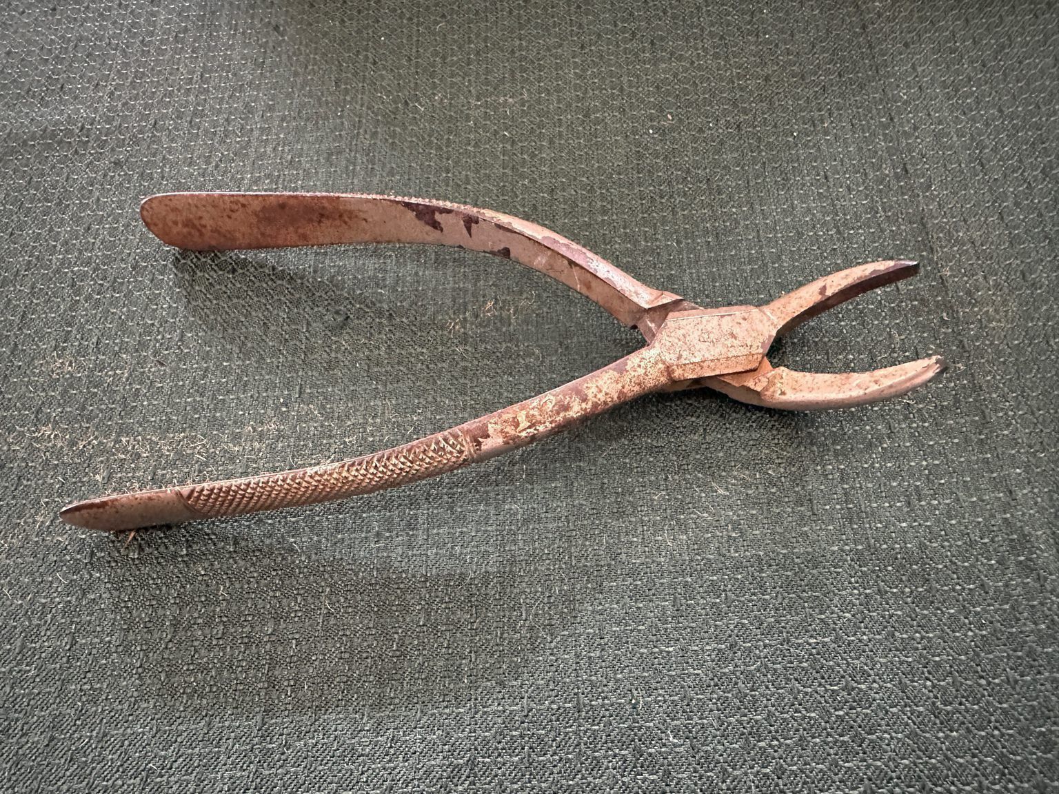 Medical and/ or Dental Instruments