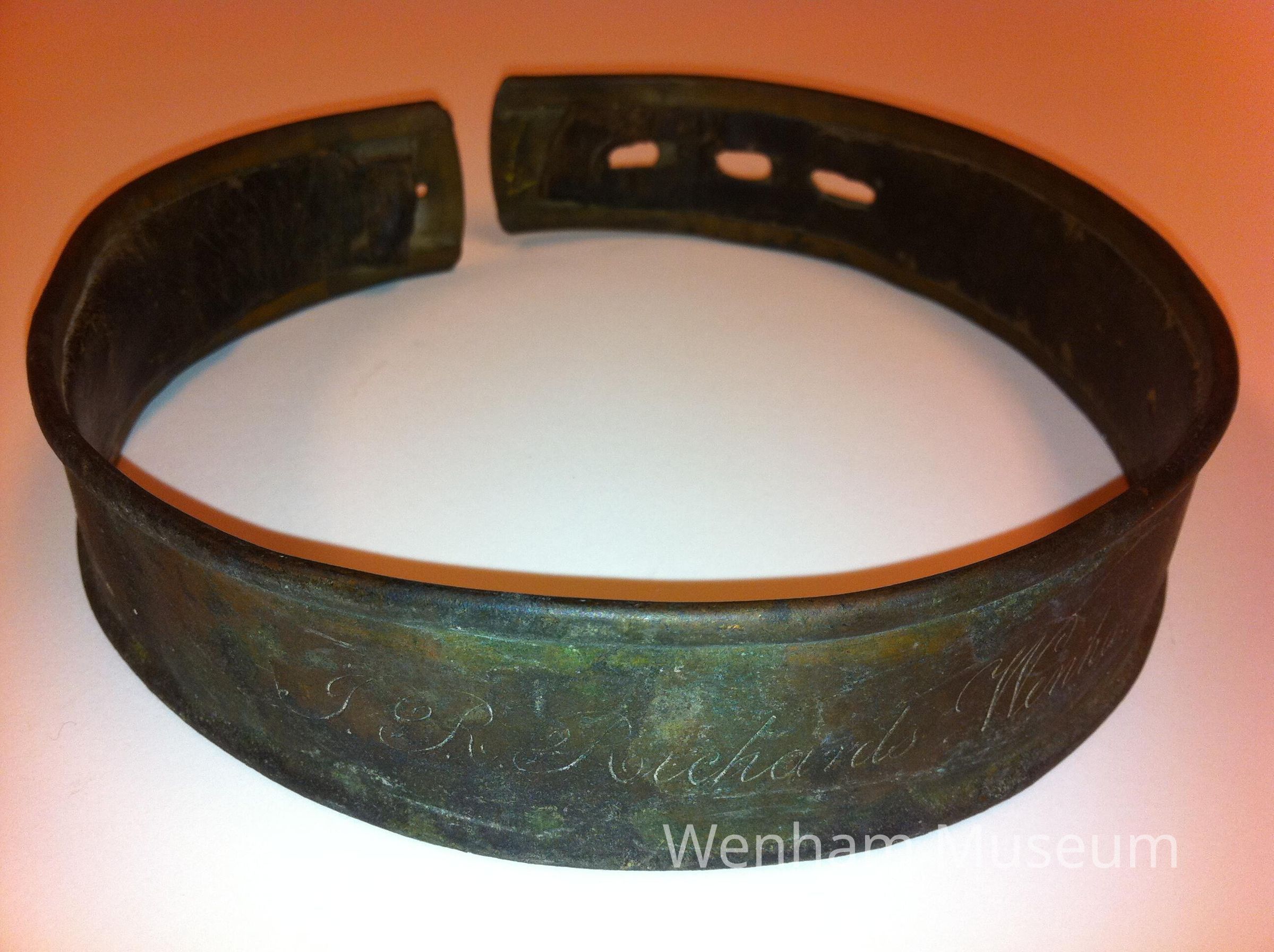          Collar, Pet picture number 1
   