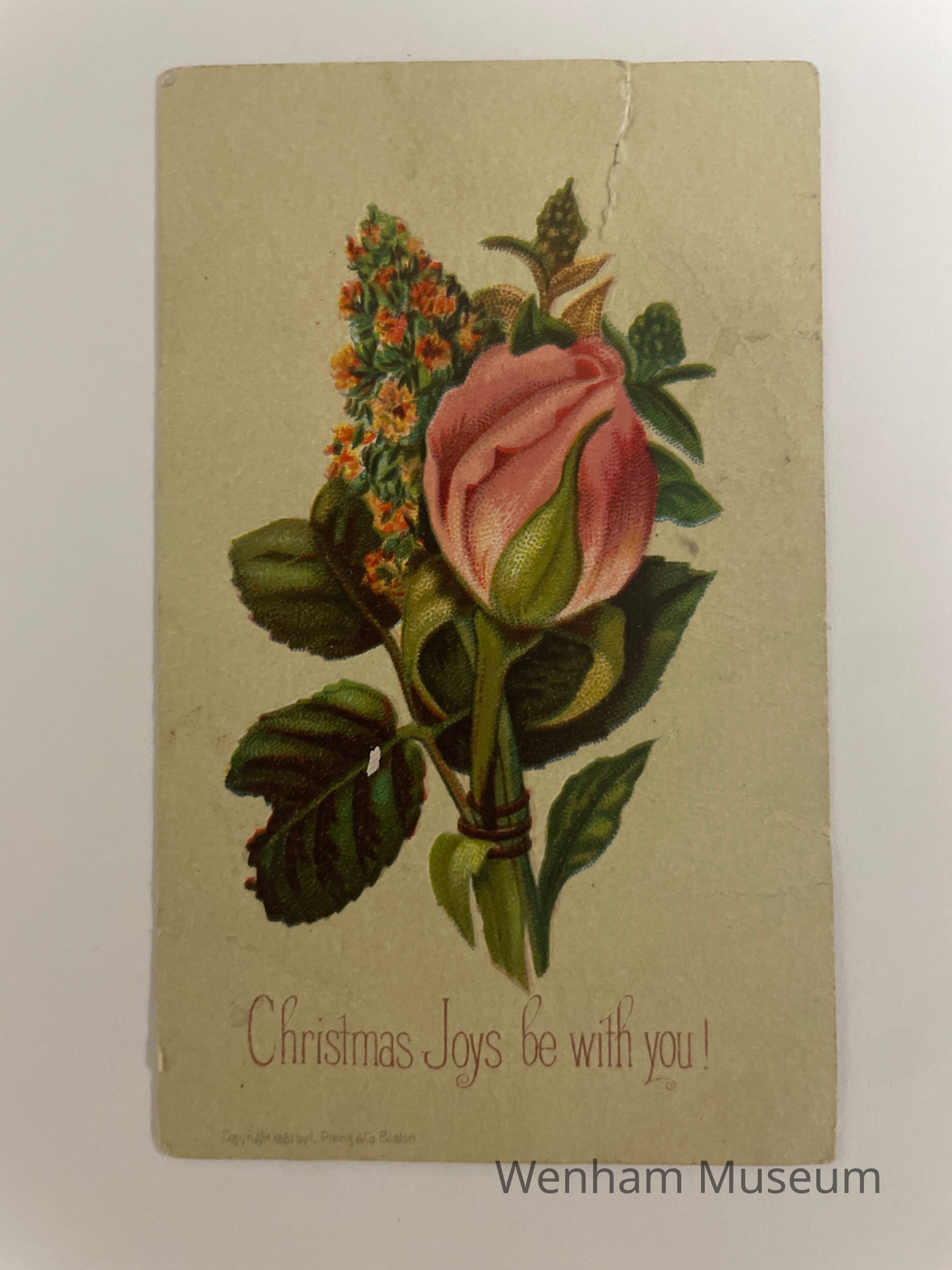          Card, Christmas picture number 1
   