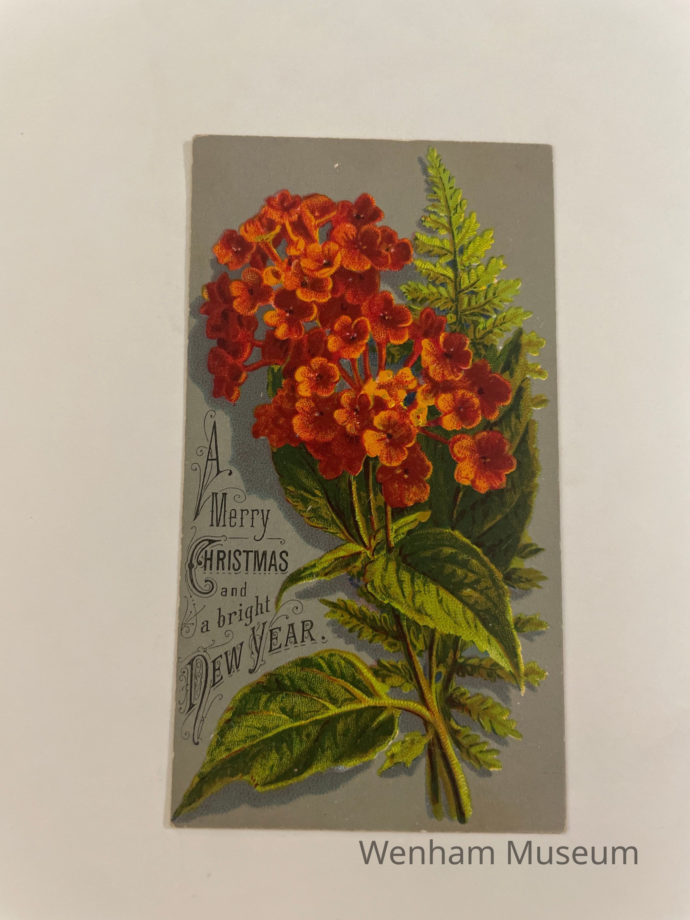          Card, Christmas picture number 1
   