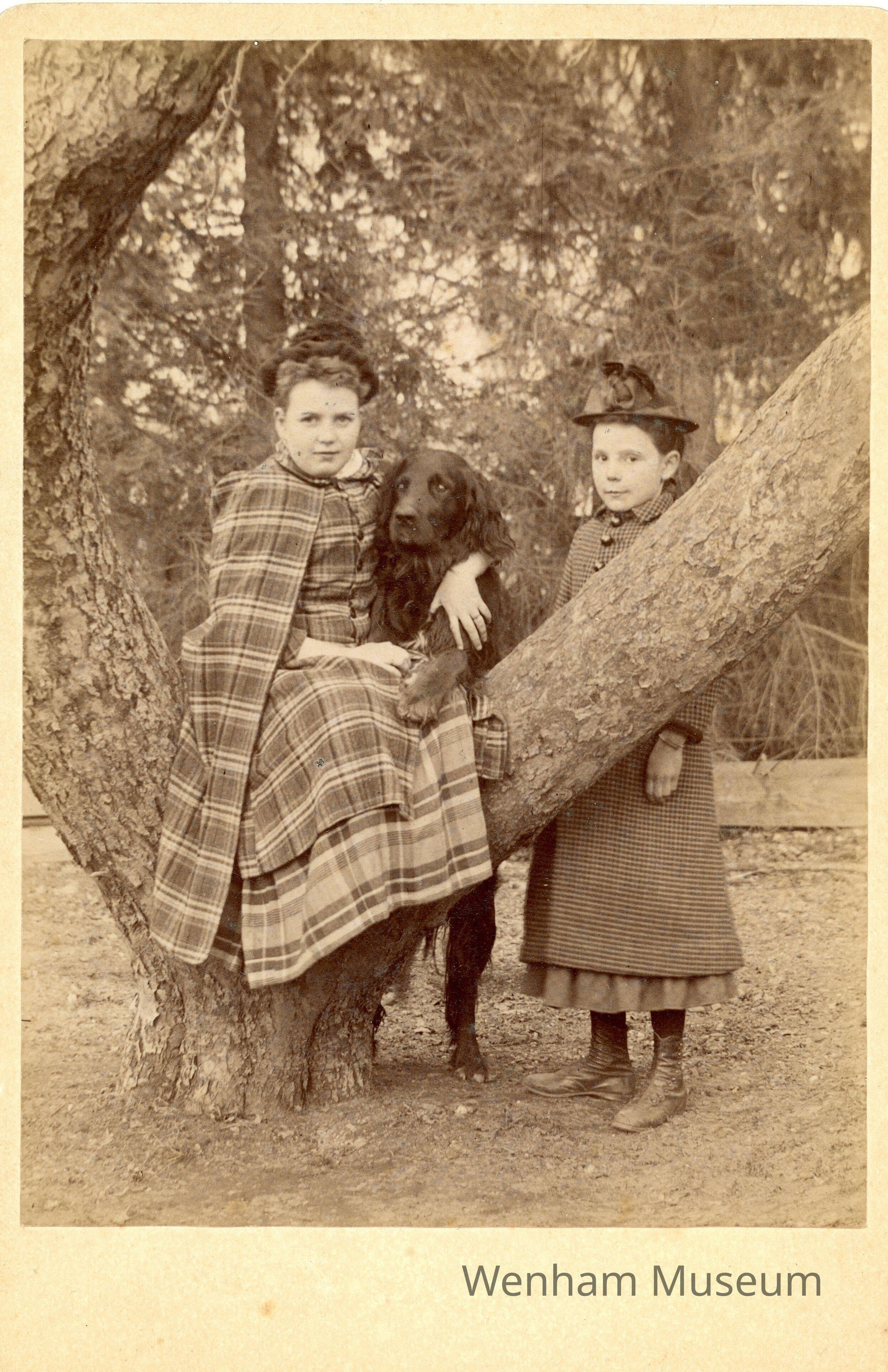          Card, Cabinet picture number 1
   
