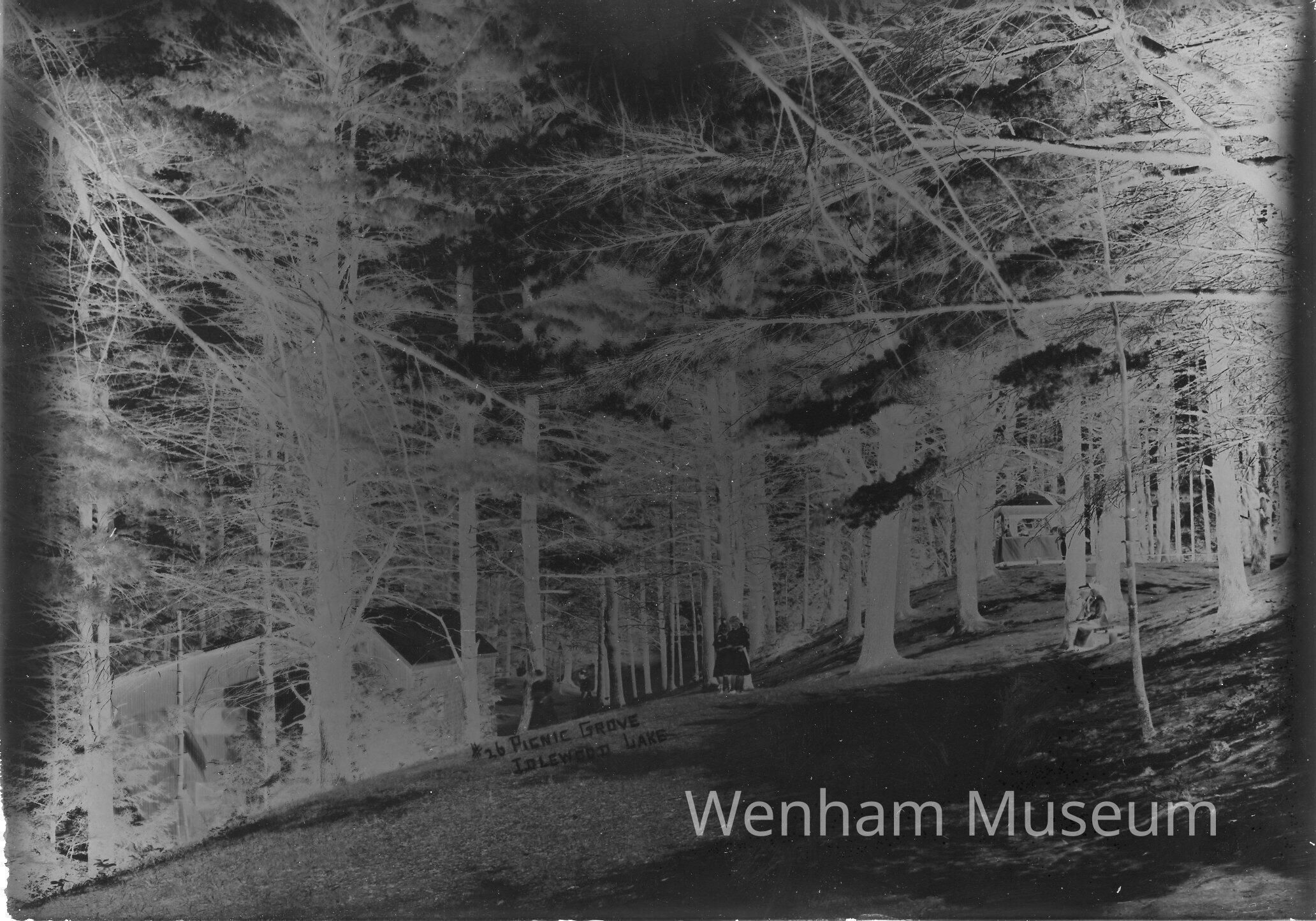          Asbury Grove picture number 1
   