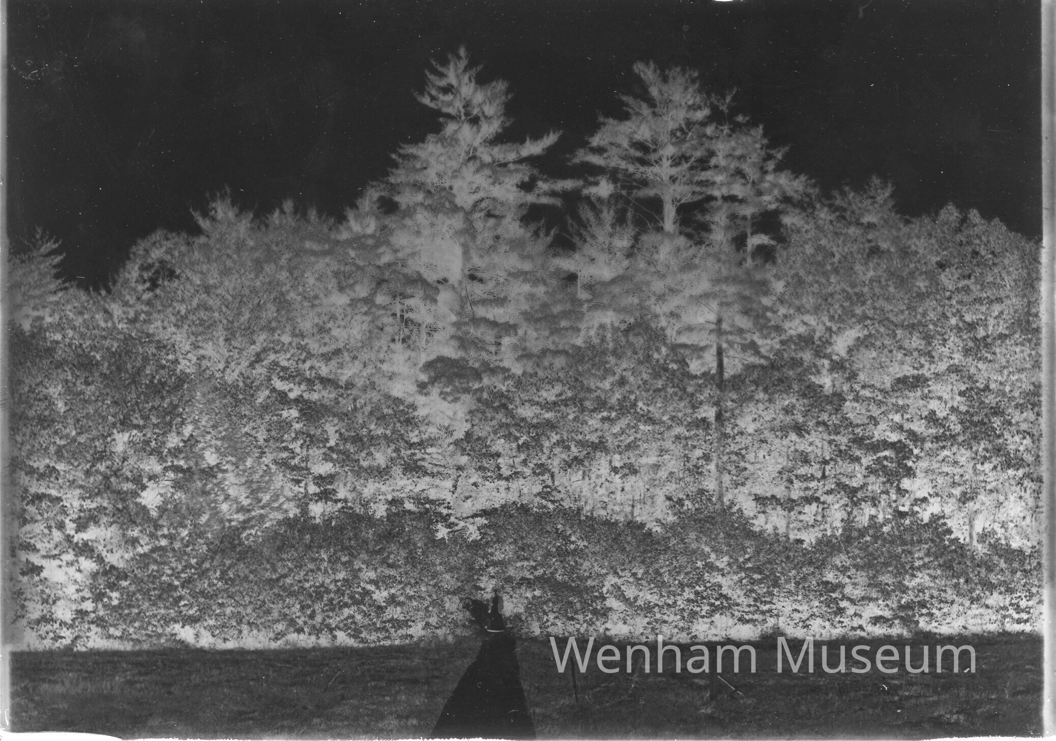          Asbury Grove picture number 1
   