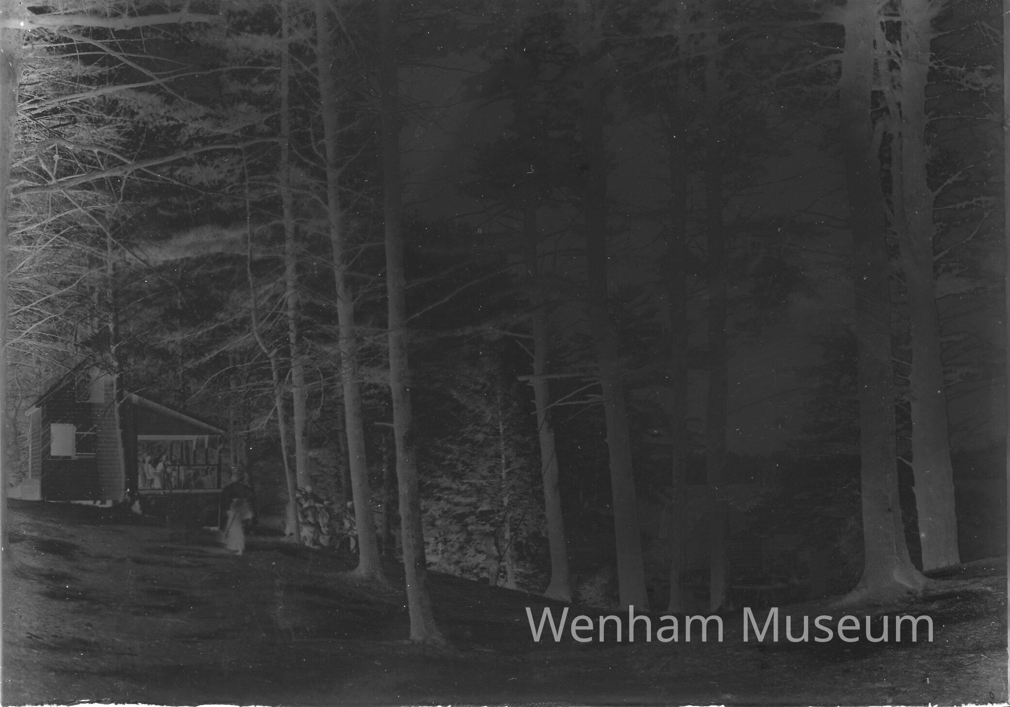          Asbury Grove picture number 1
   