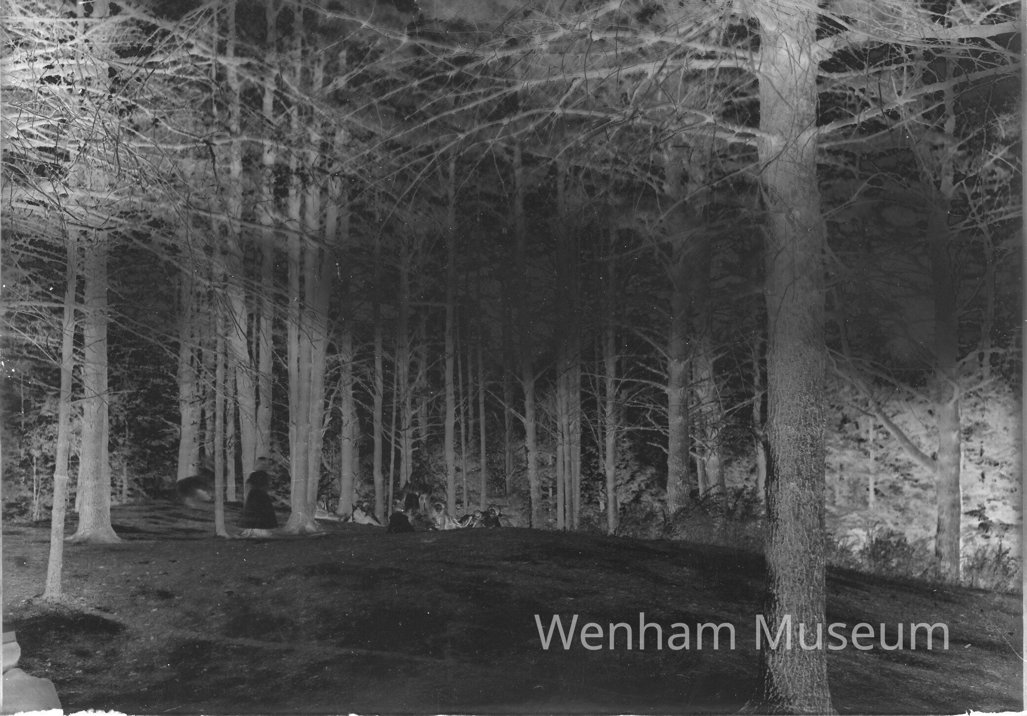          Asbury Grove picture number 1
   