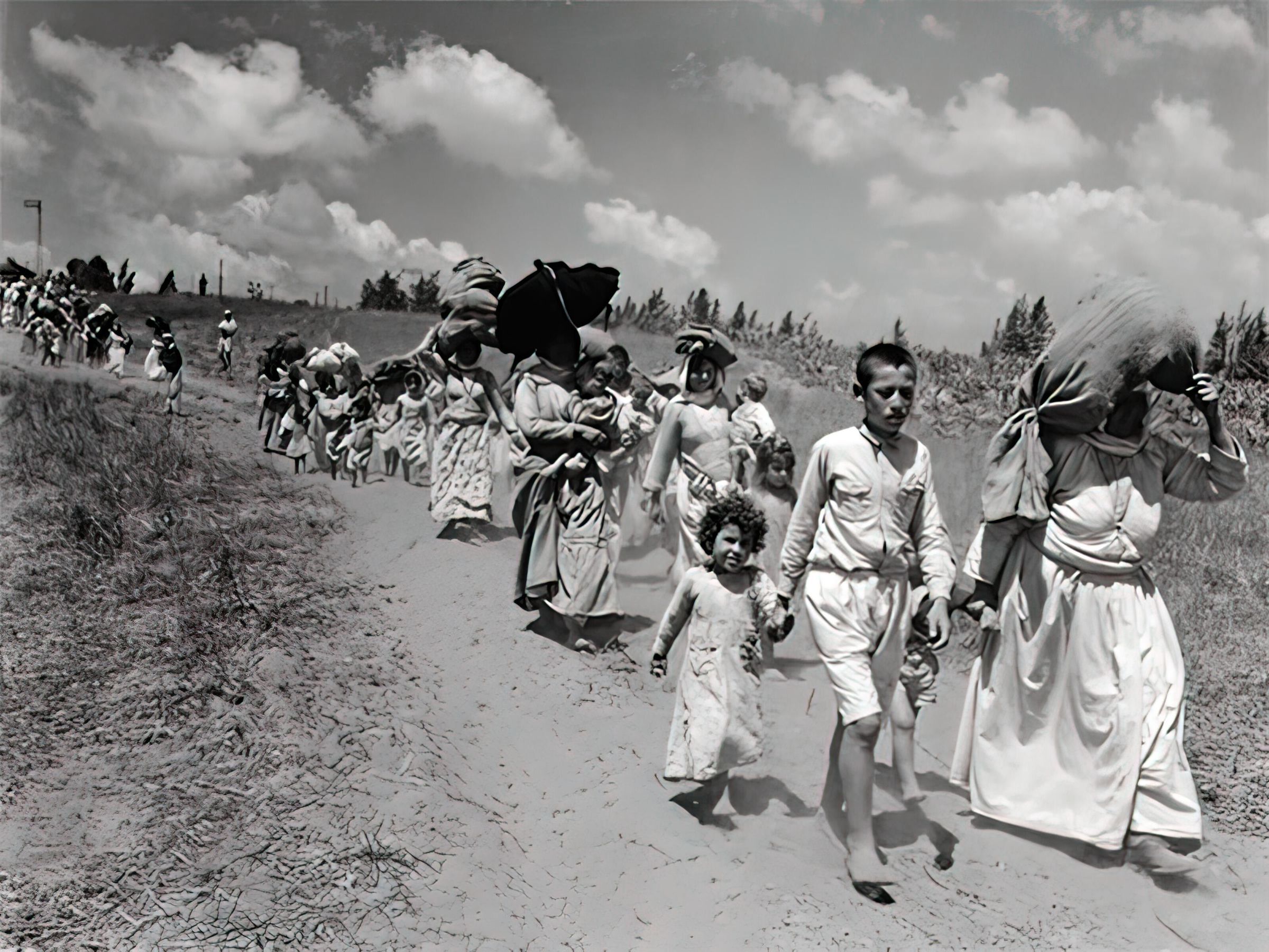 Fleeing the Nakba (1948) picture number 1