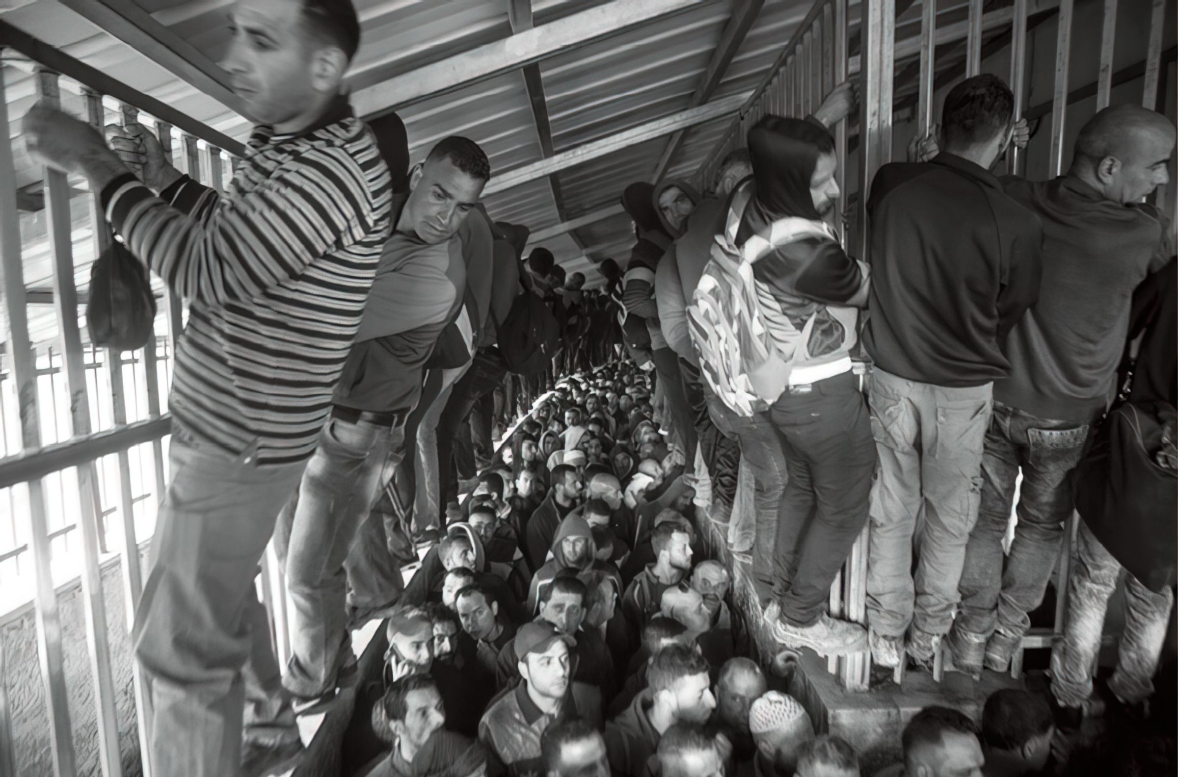 Scramble at a Crossing Point (2018) picture number 1