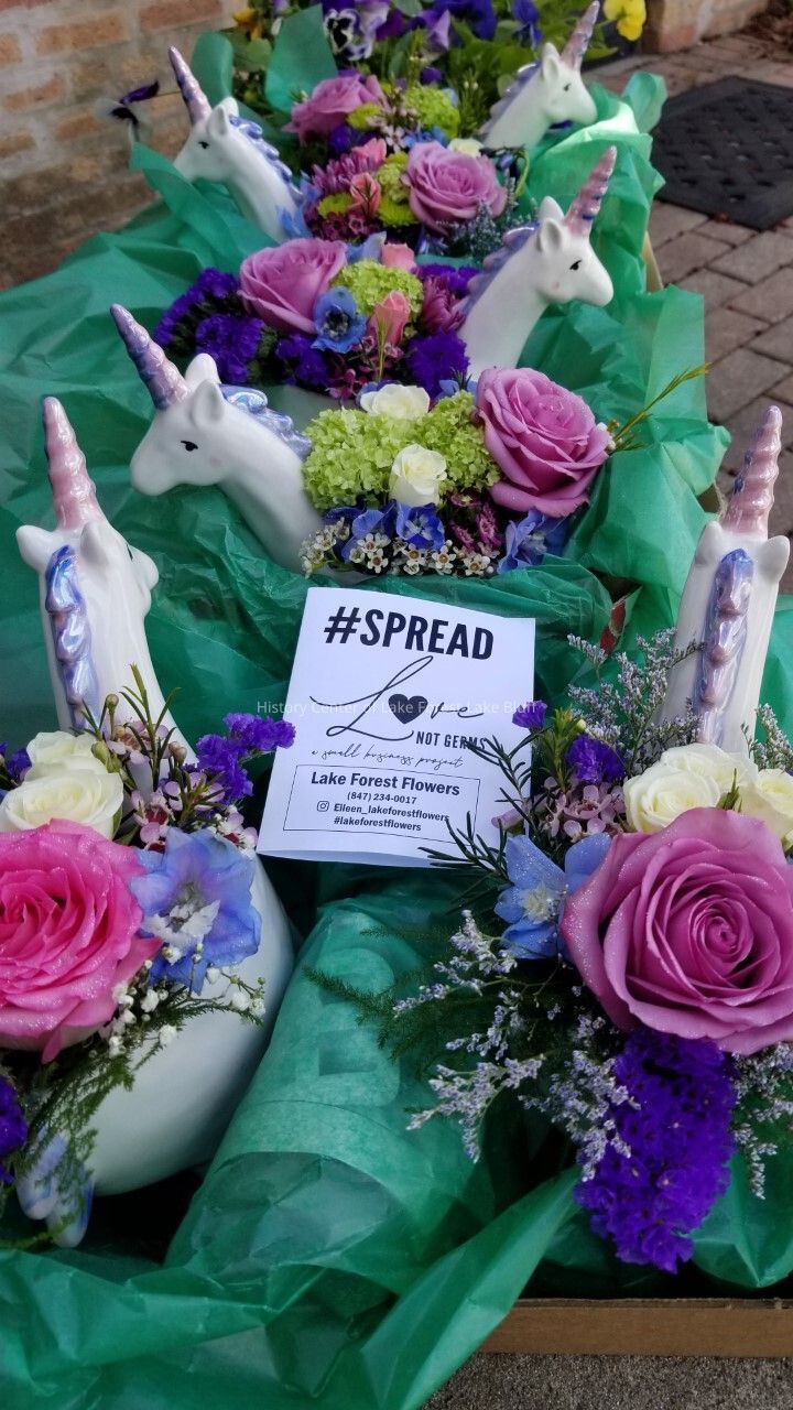 Candid Look at Covid-19