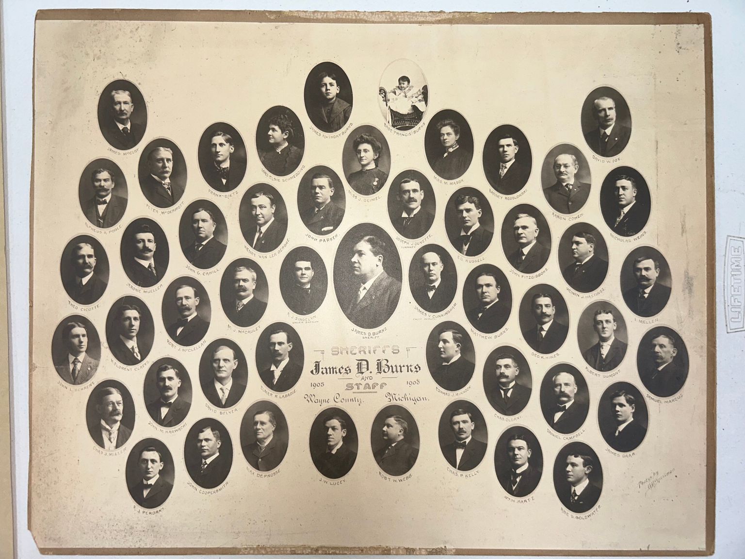Miscellaneous Families