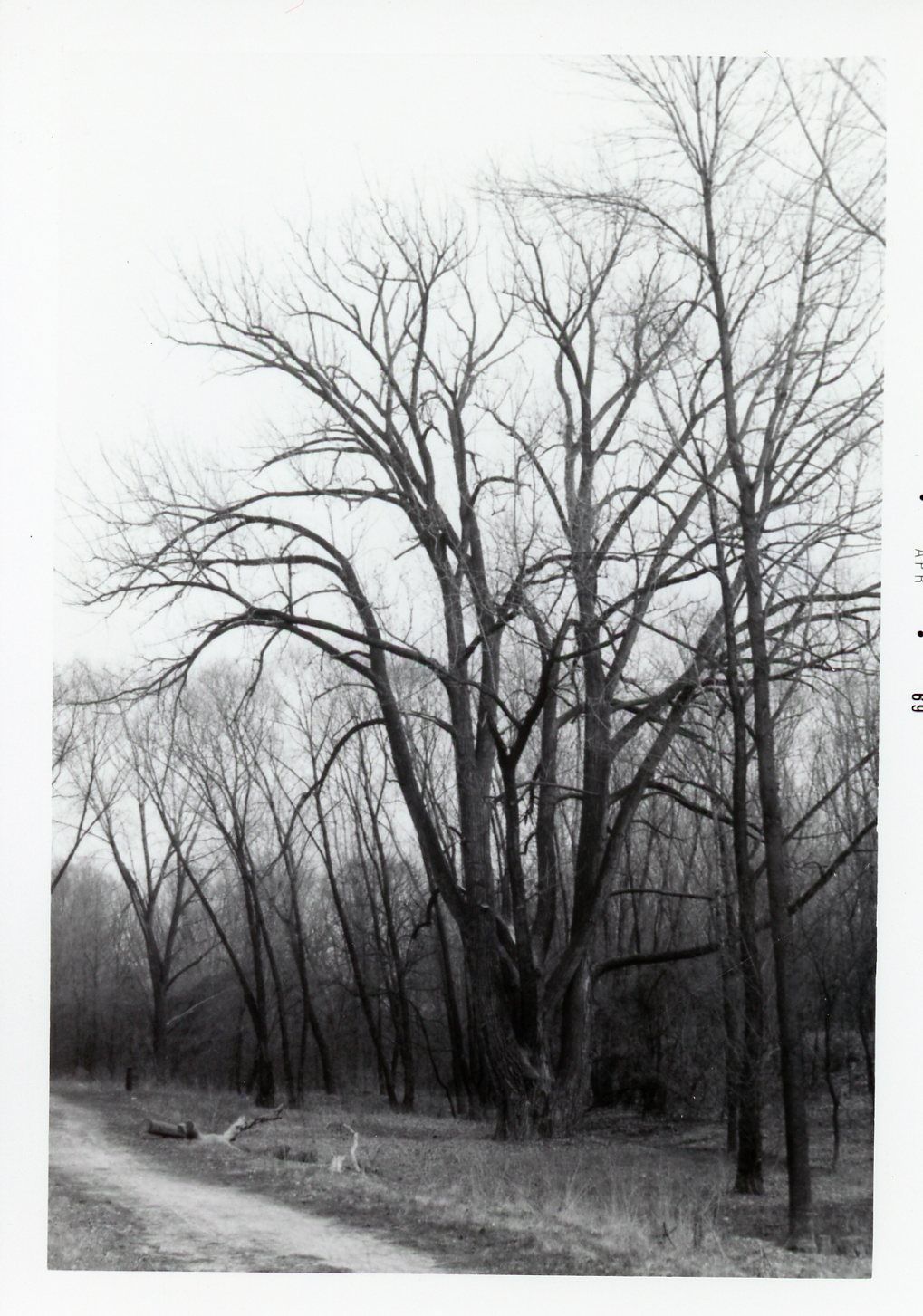 Goudy park