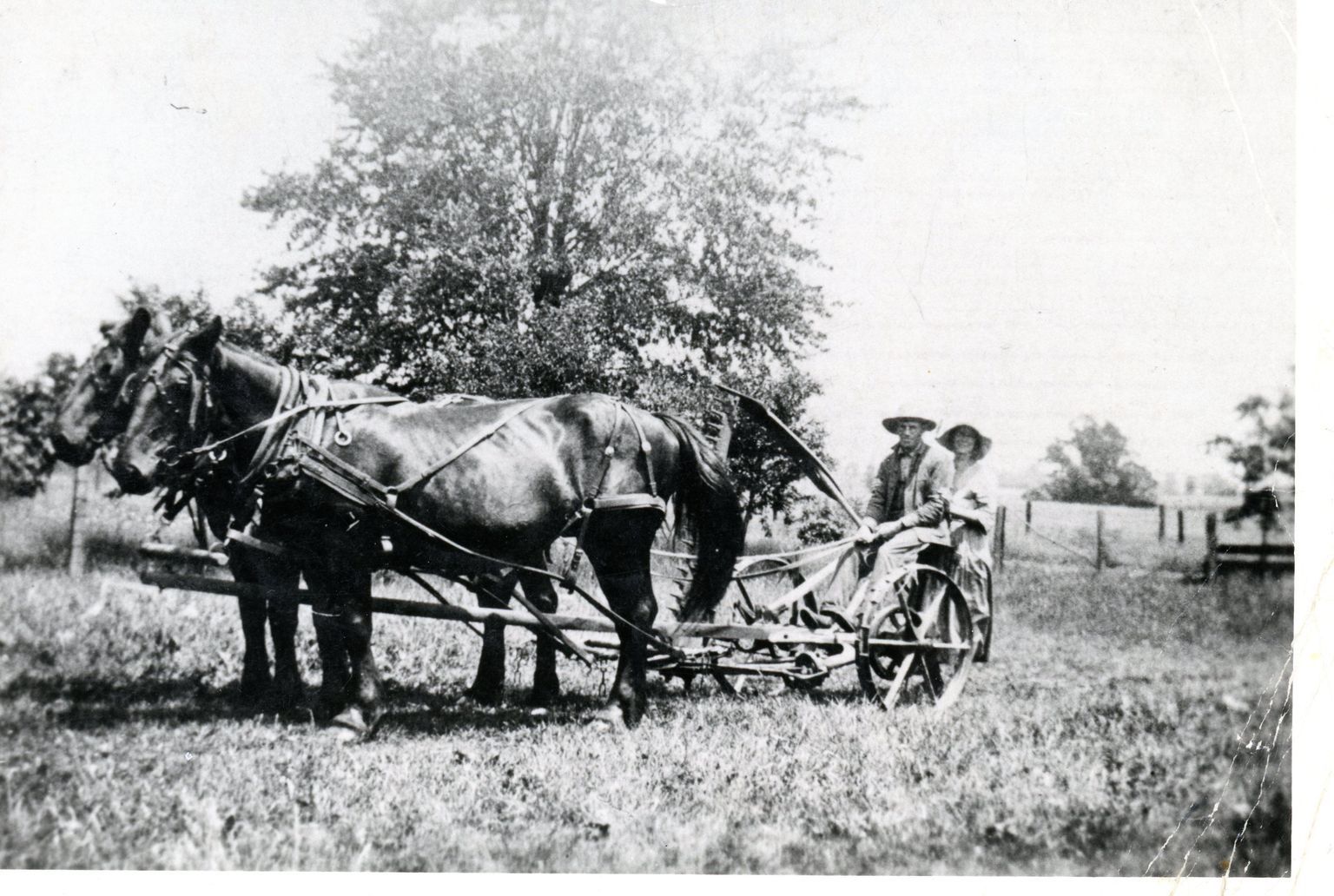 Farming