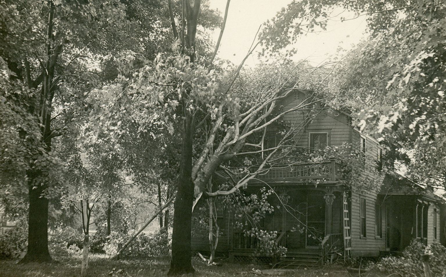 Brush Street