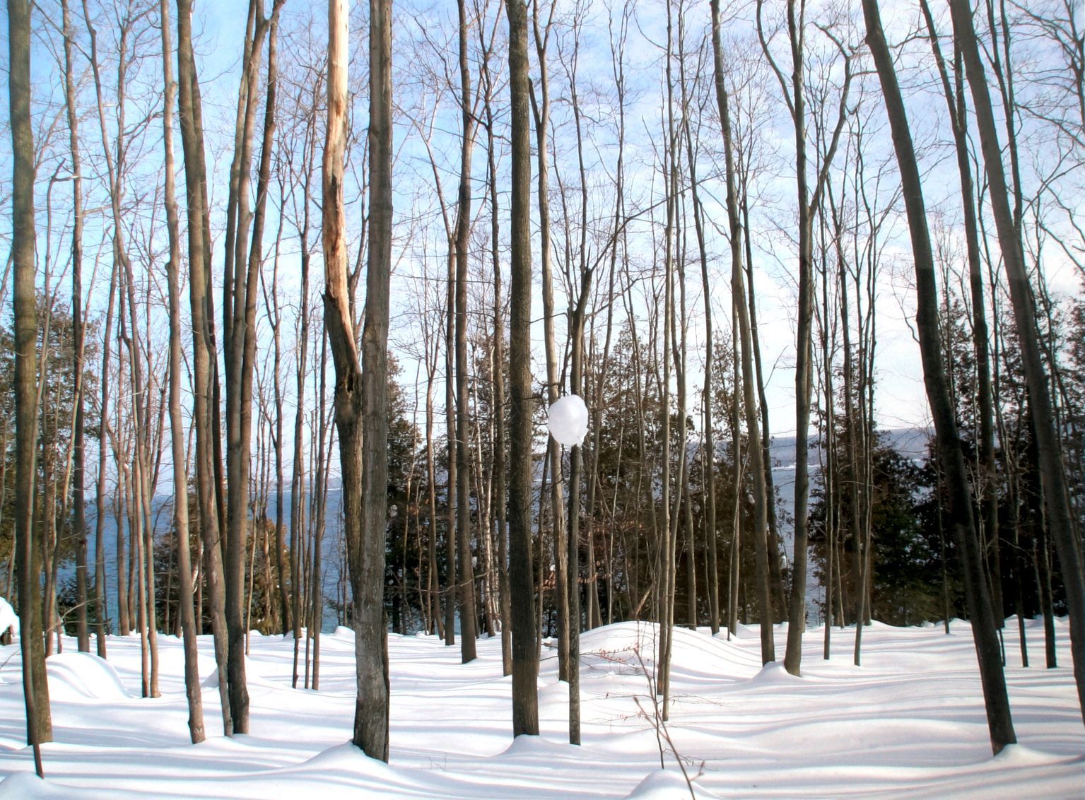 Photography and Print