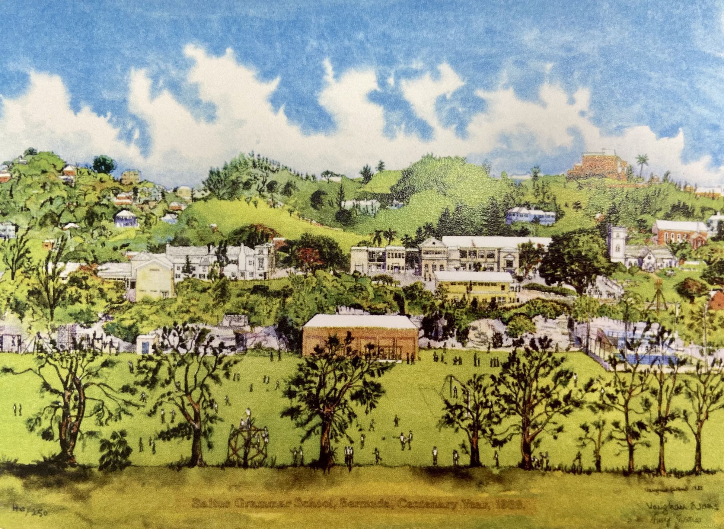Saltus Grammar School Archives hero image