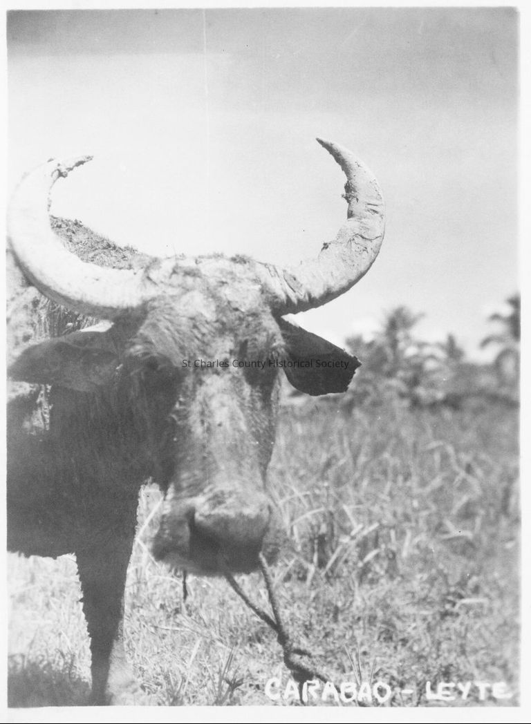Copyright: St. Charles County Historical Society; Origsize: 6 1/2  x 4 1/4; Origformat: Print-Photographic