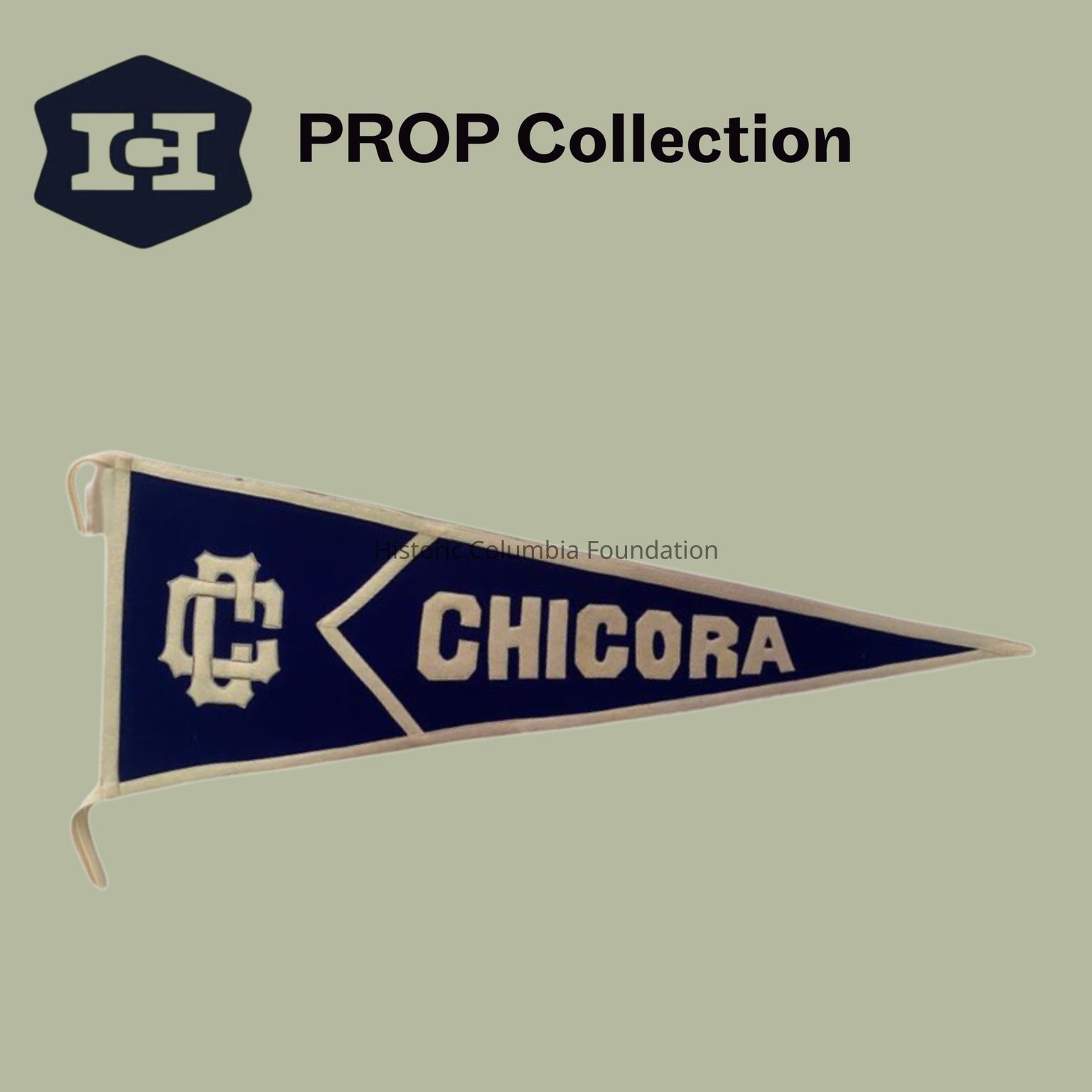 Hampton-Preston Mansion: Chicora College Dorm Room