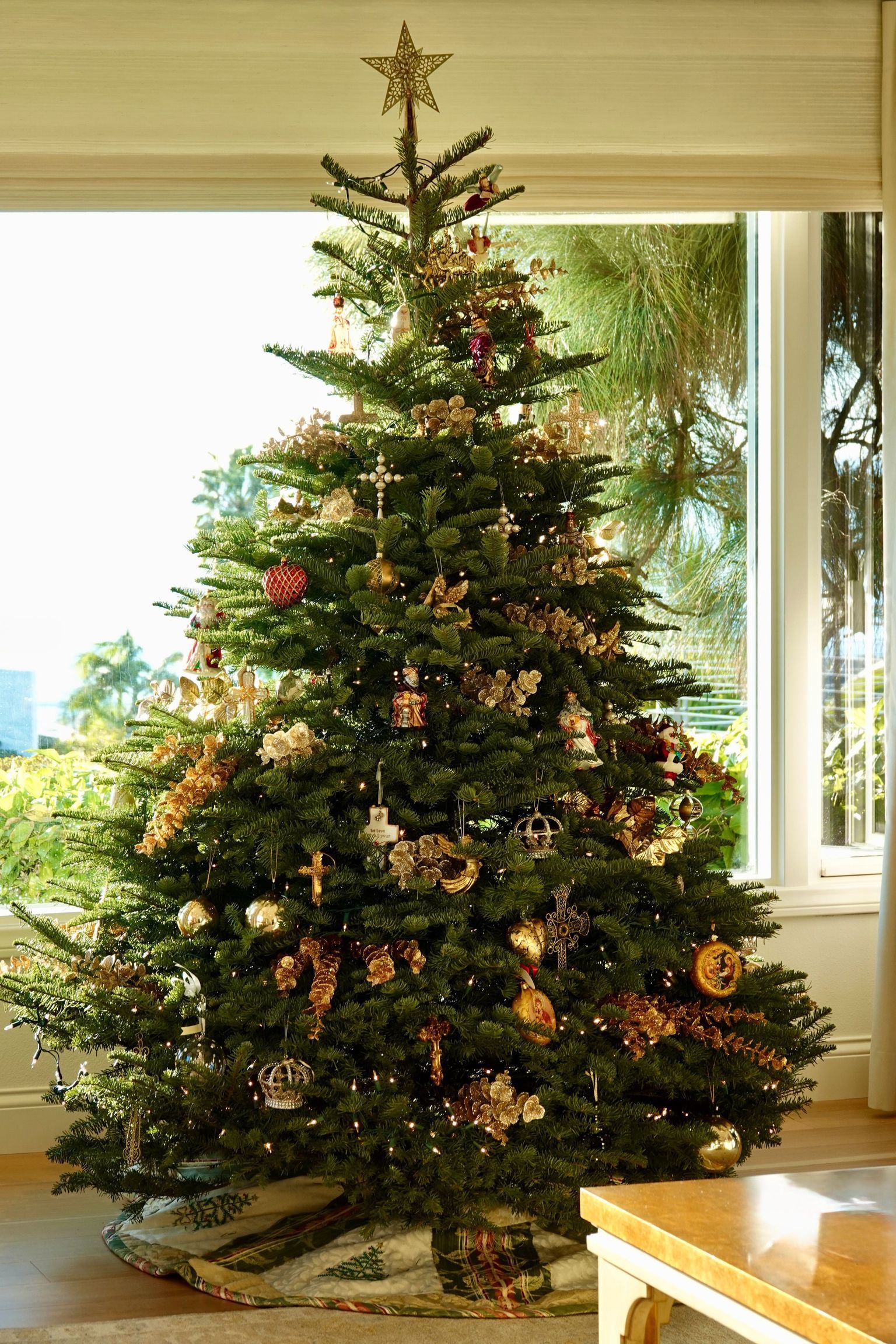 NATIVITY & CHRISTMAS